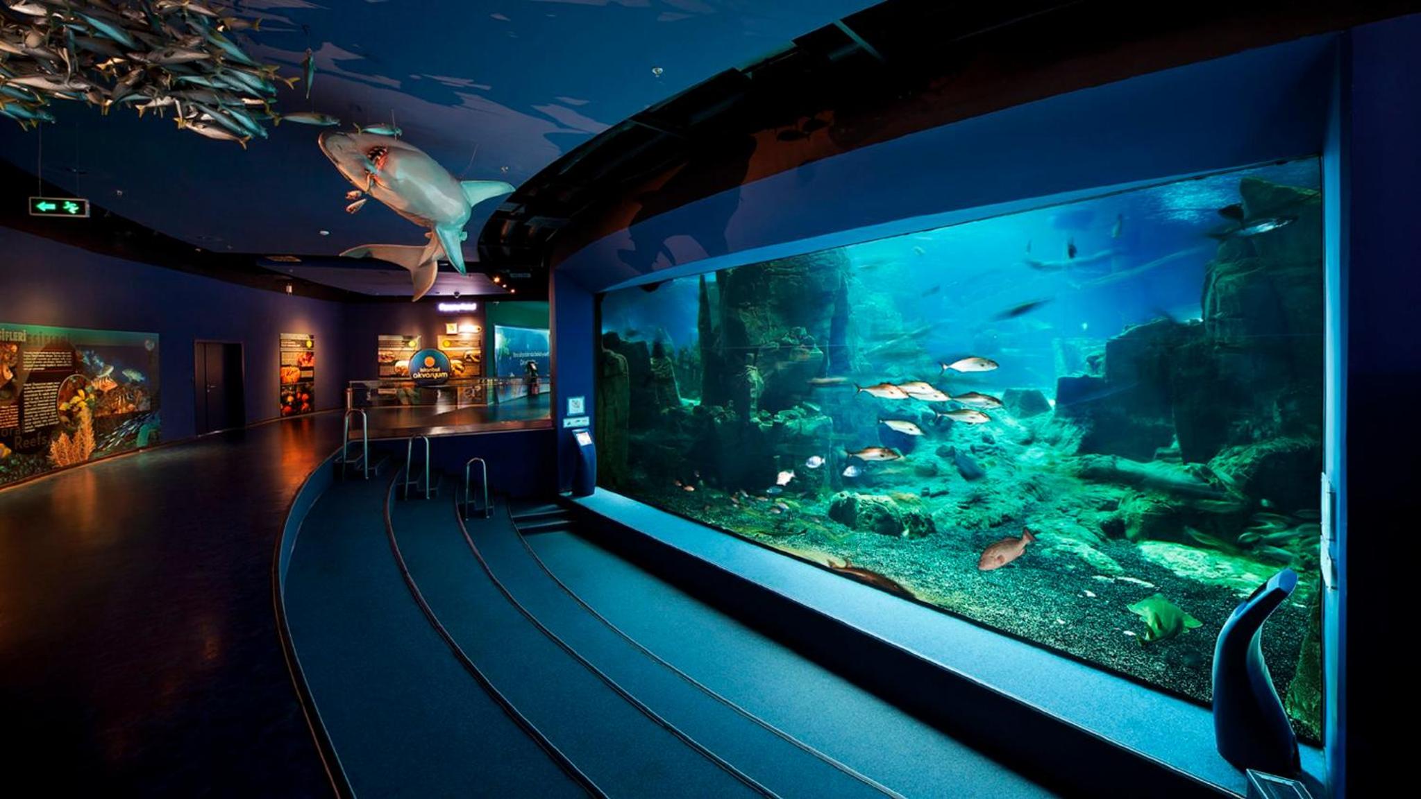 Crowne Plaza Florya İstanbul, bir IHG Oteli - Image 135