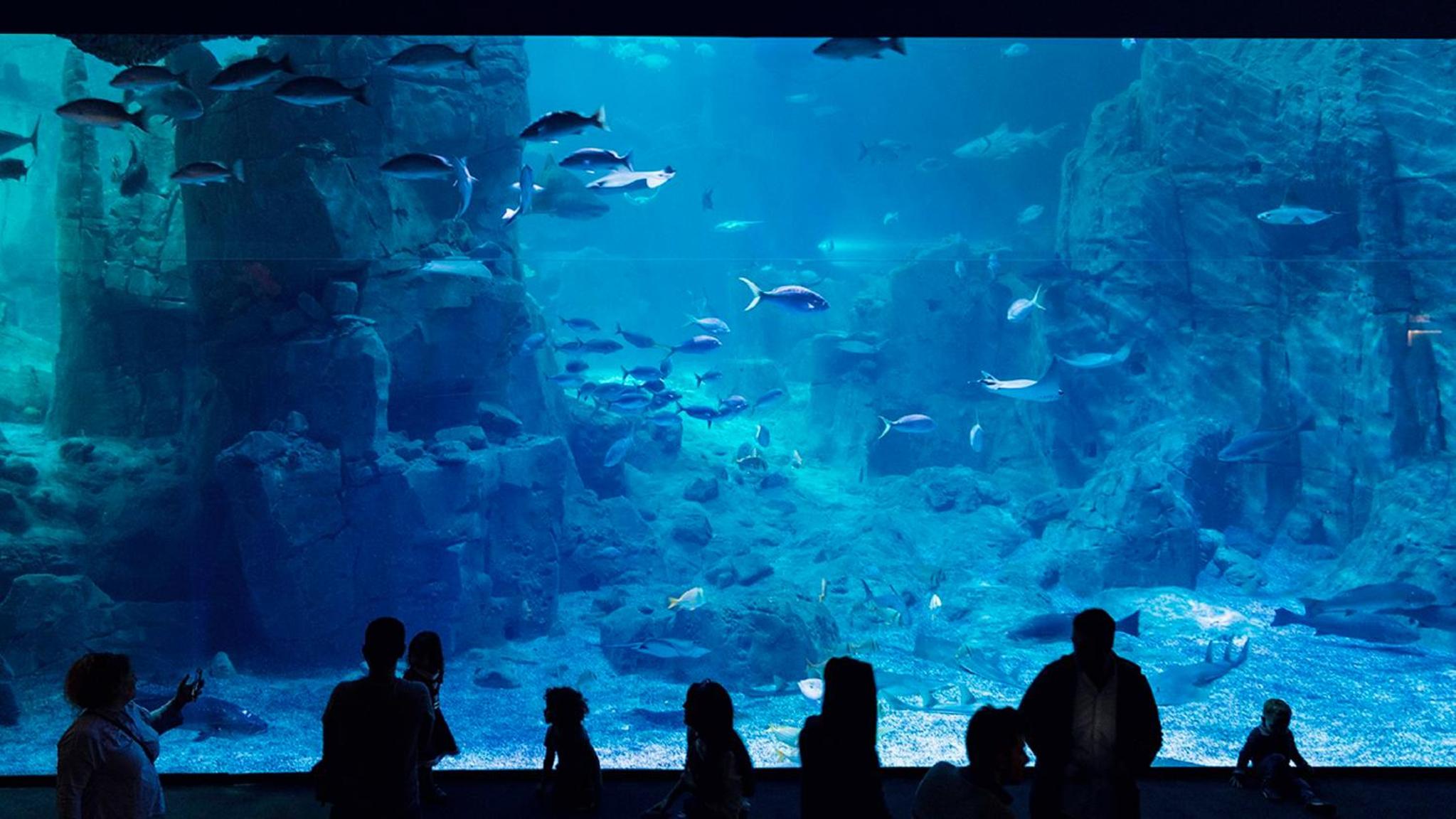 Crowne Plaza Florya İstanbul, bir IHG Oteli - Image 133