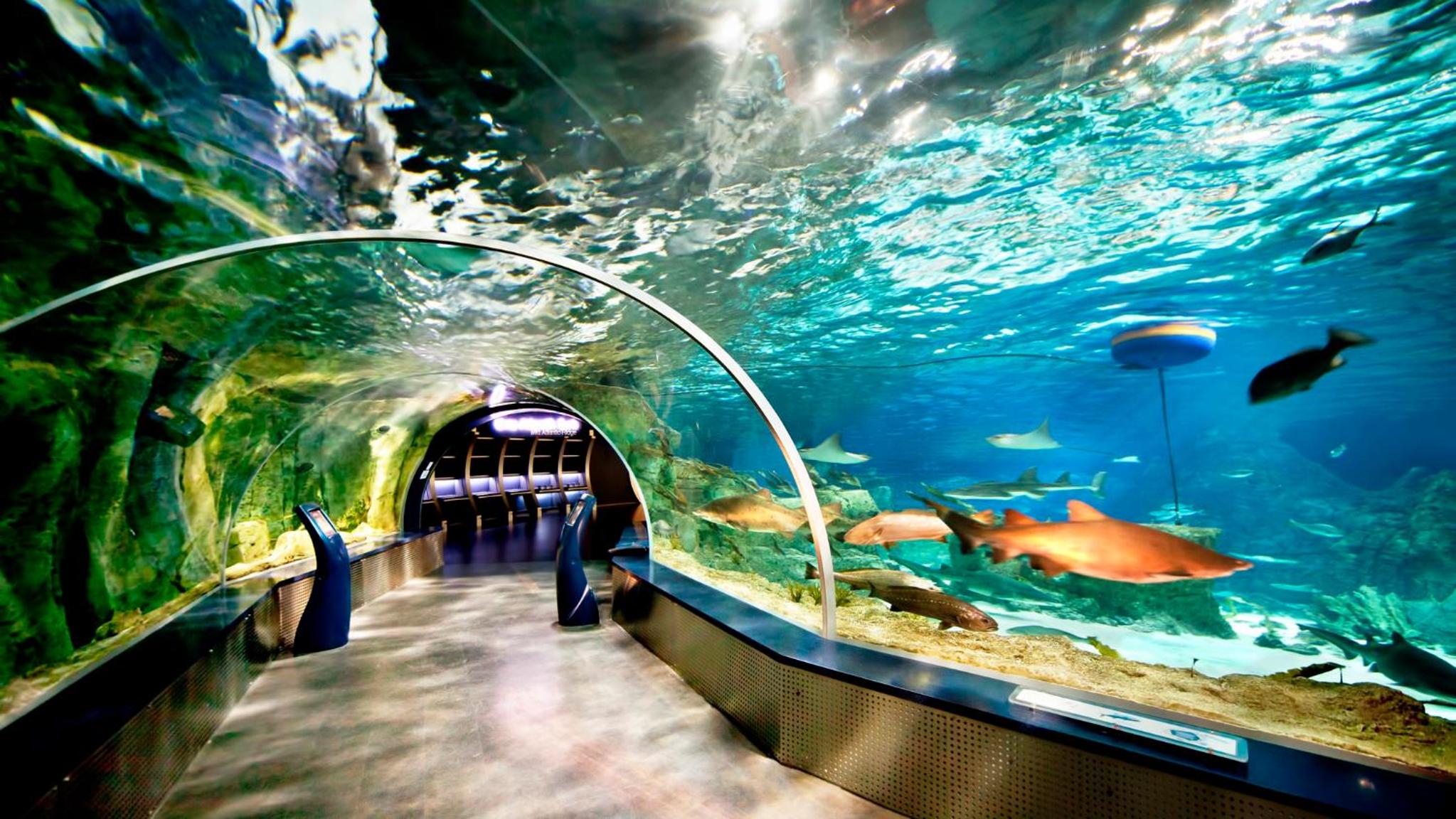 Crowne Plaza Florya İstanbul, bir IHG Oteli - Image 92