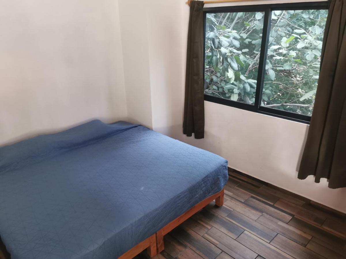 Casa Momotus view 2