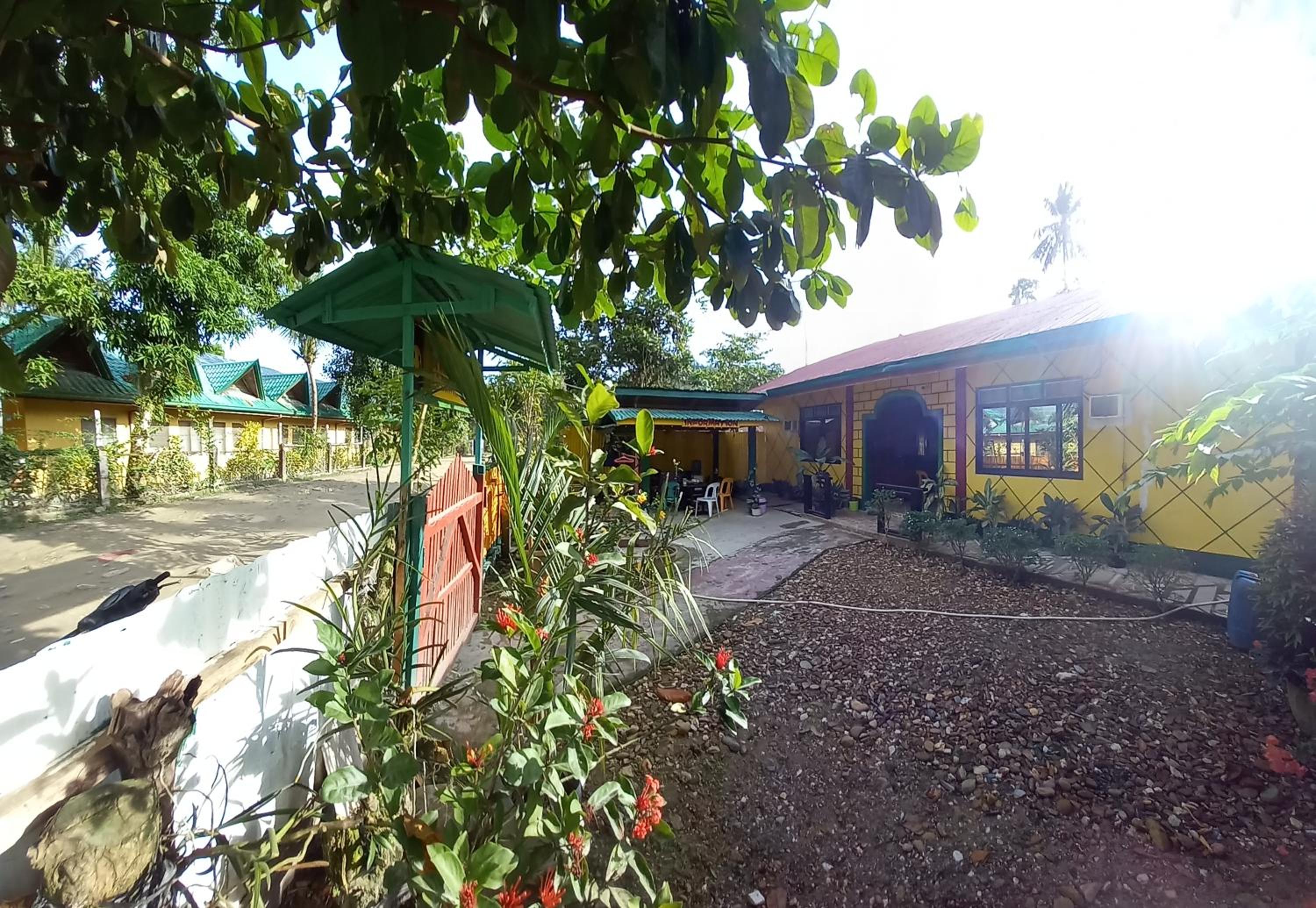 Photo 25