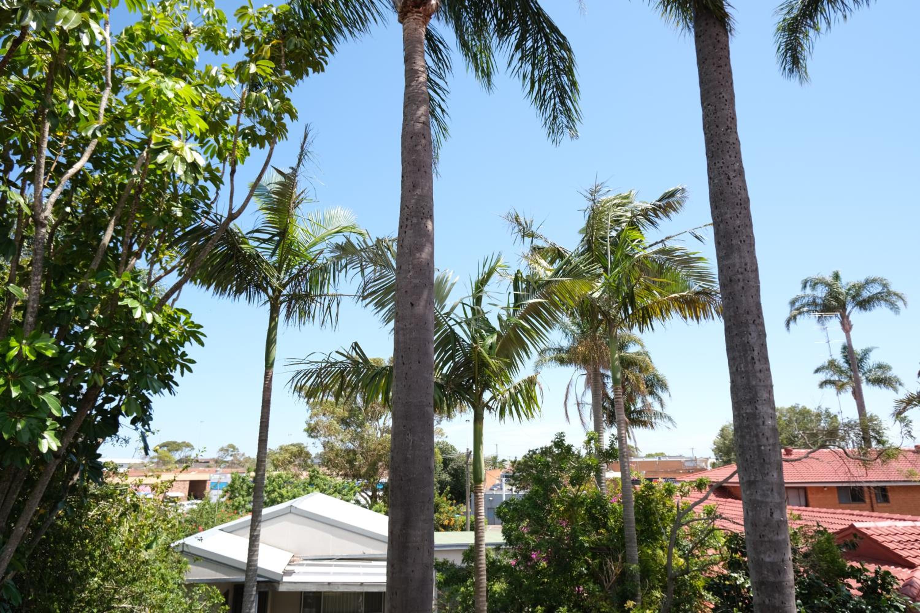 Sapphire Palms Motel