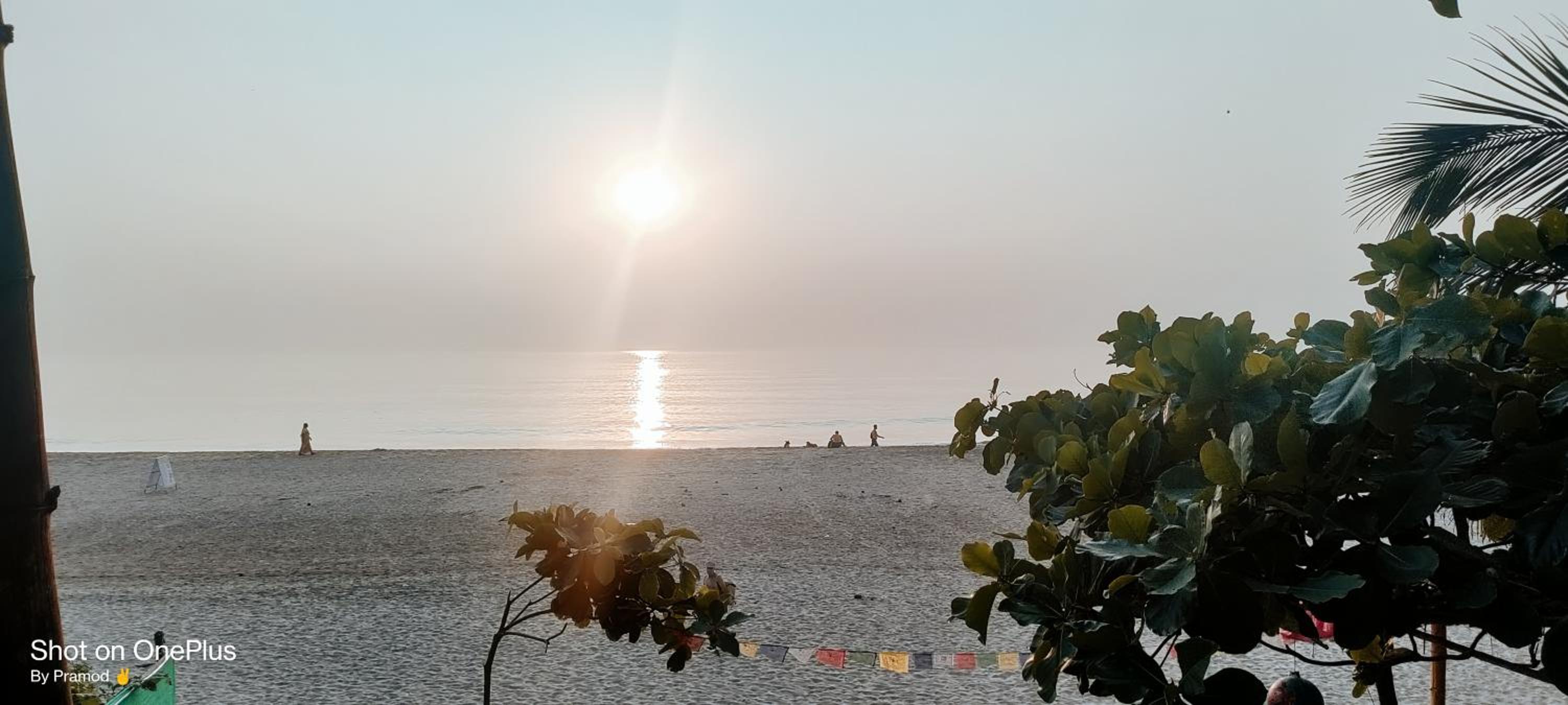 Golden Wings Cafe view 3