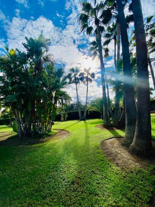 Finca Na Penyal 7