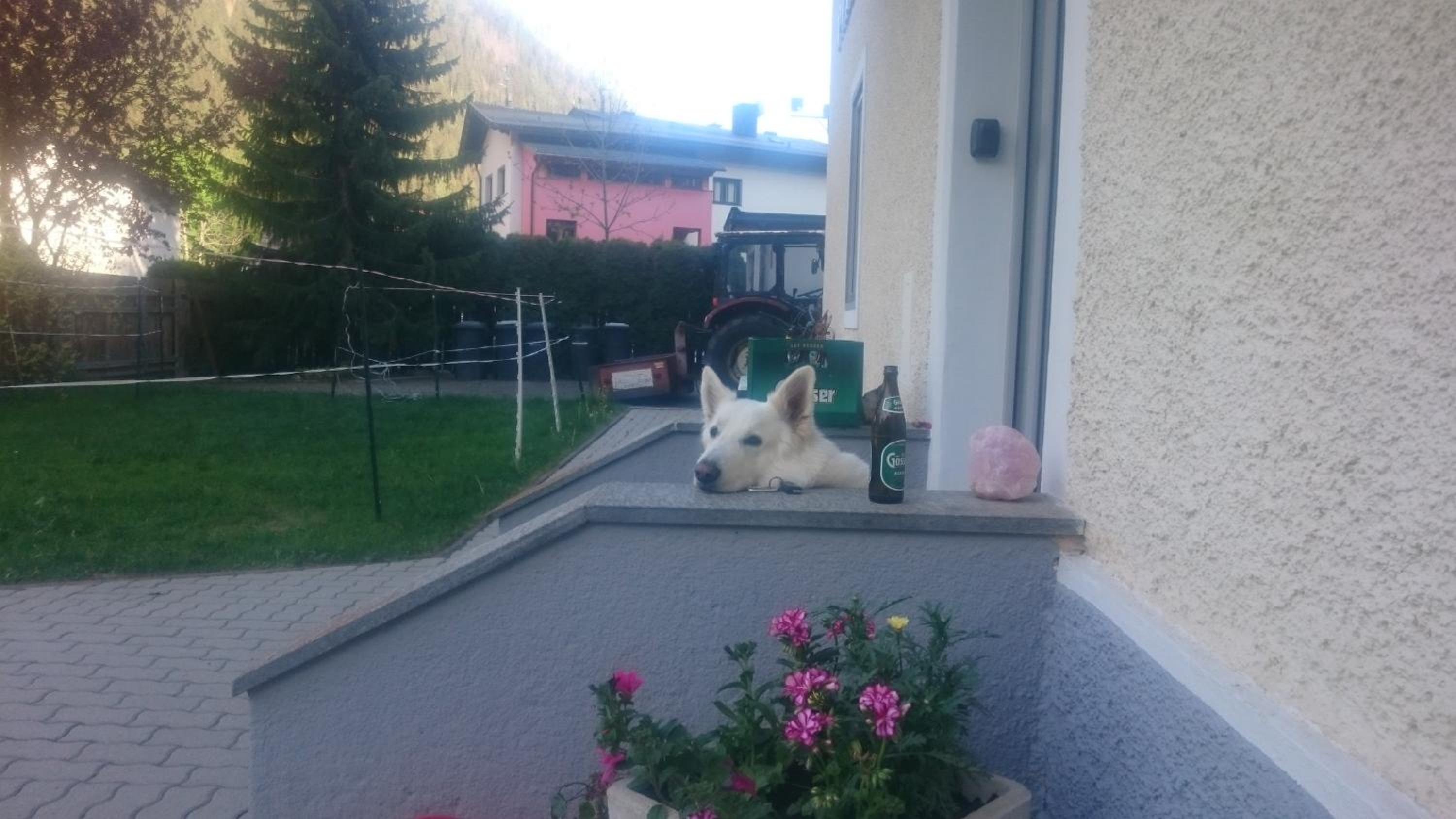 Photo 26