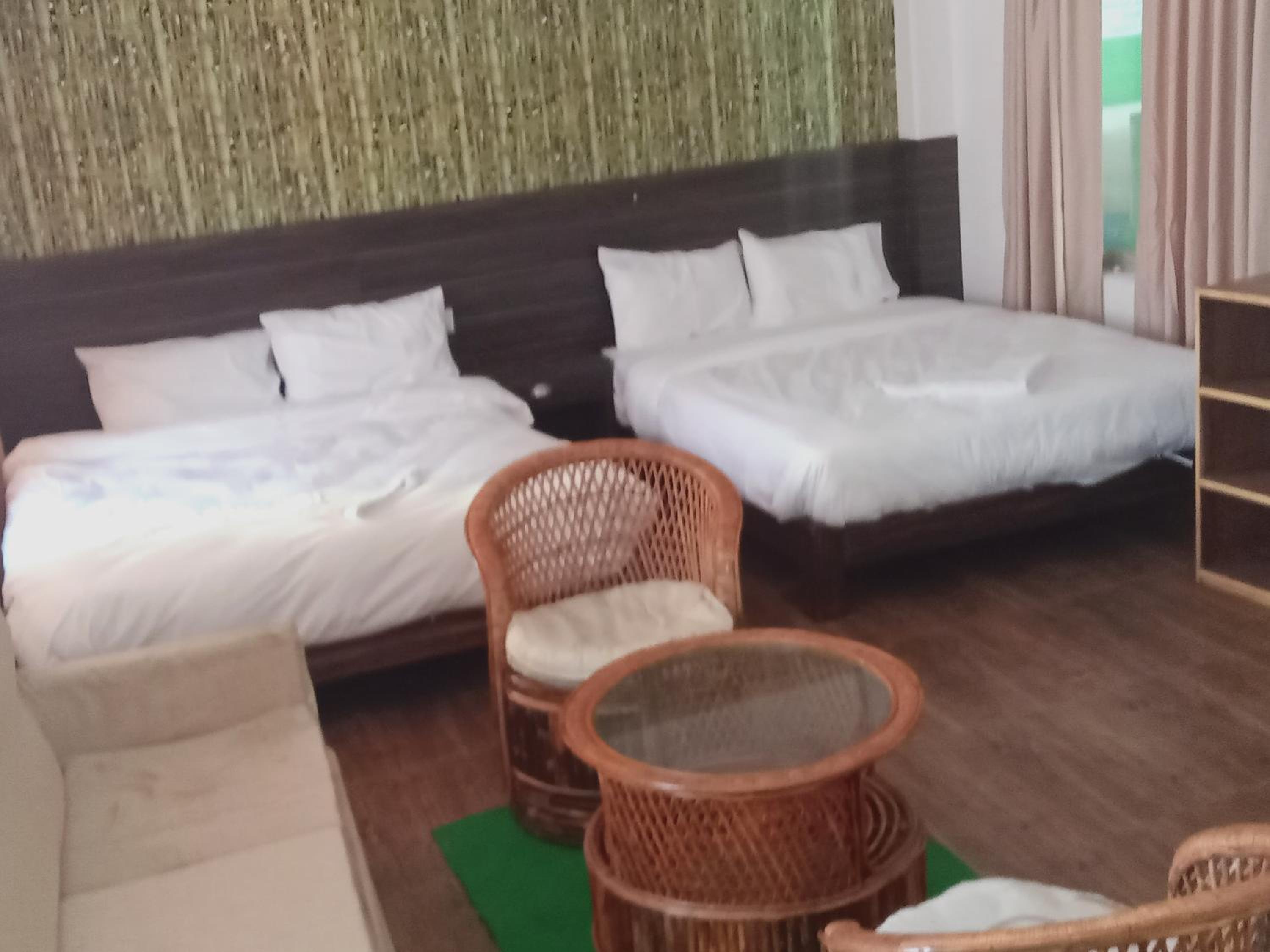 Everest Guest House view 2