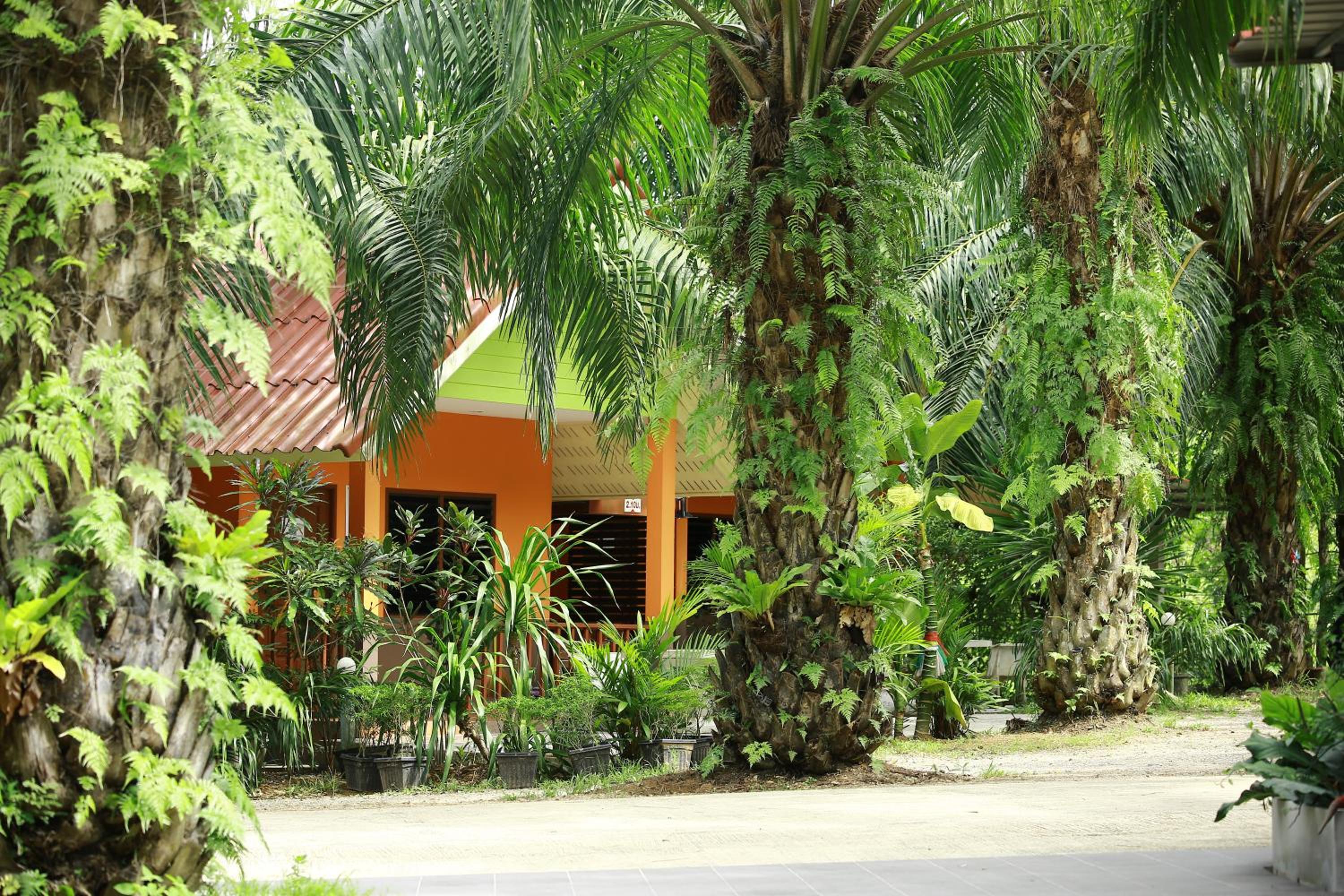 Palm Kaew Resort Krabi