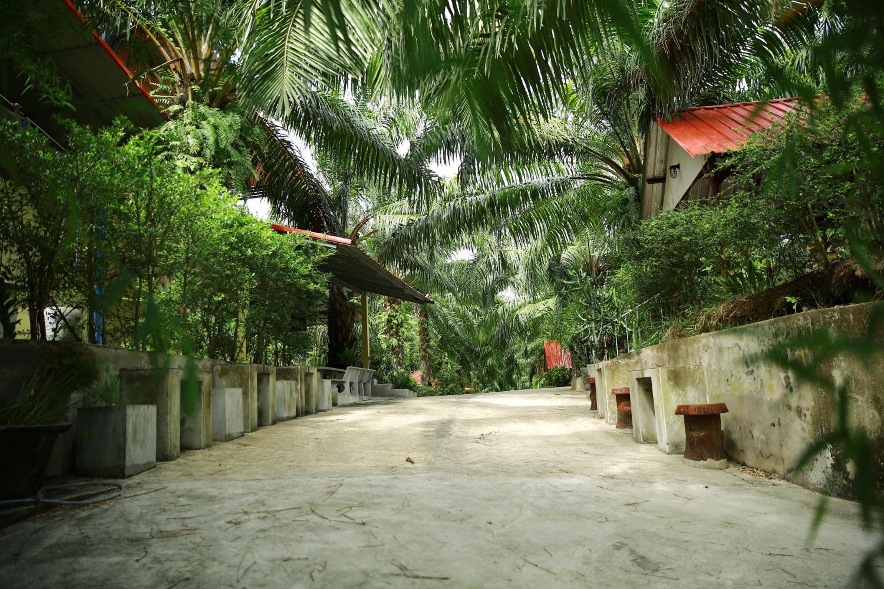 Palm Kaew Resort Krabi