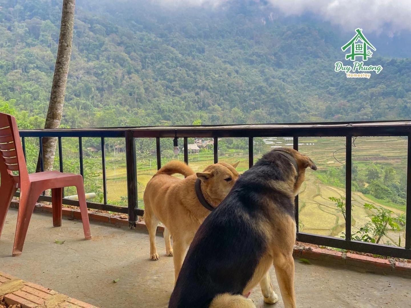 Pu Luong - Duy Phuong Homestay