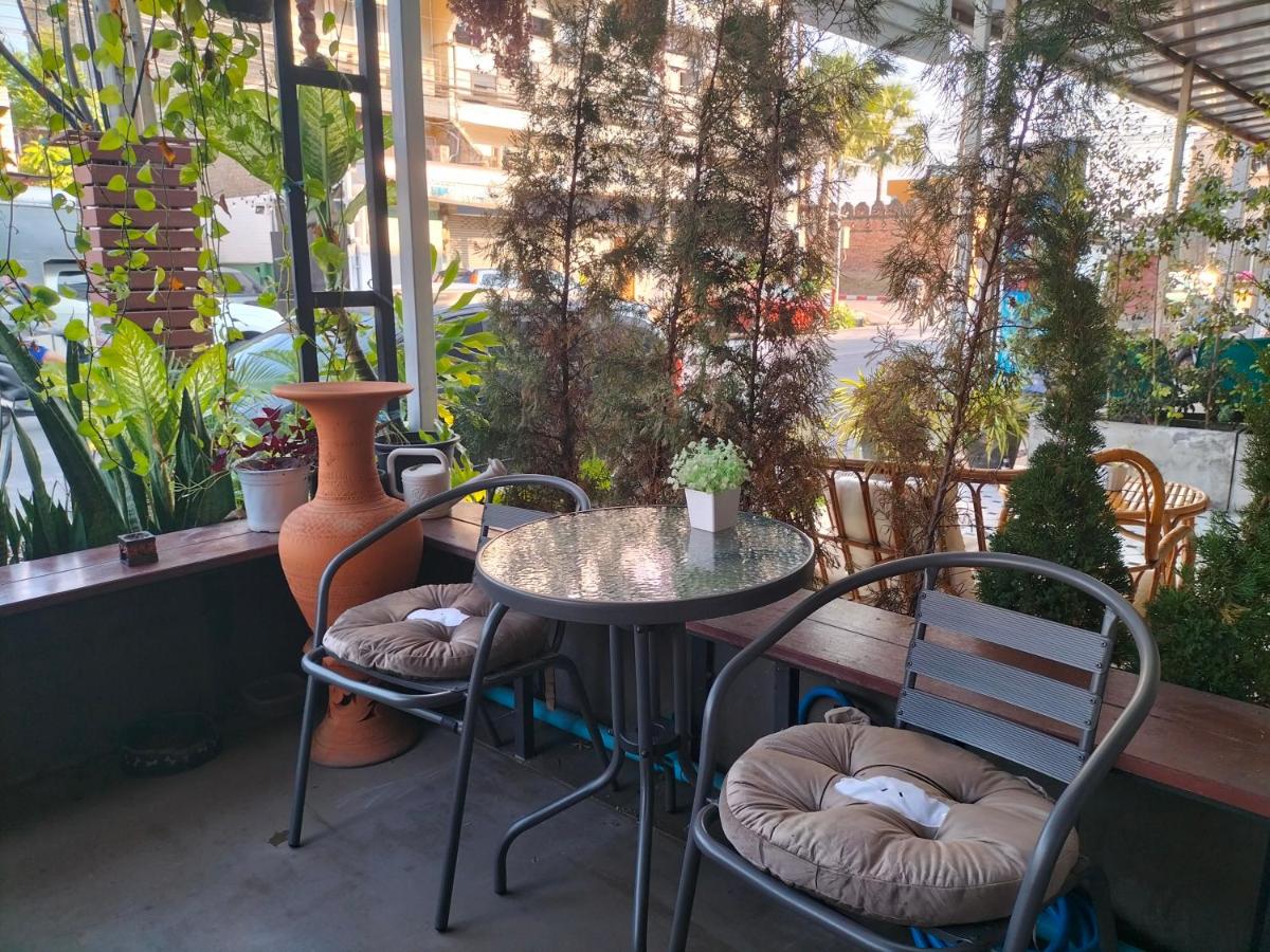 Chiang Mai Panda Hostel view 5