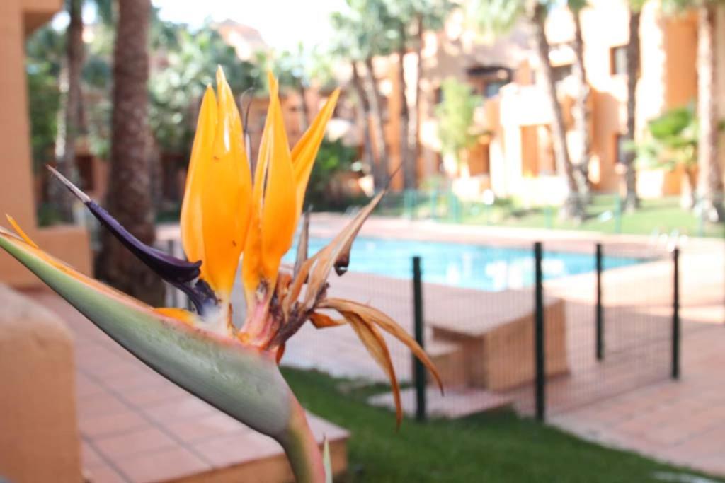 Casa Hermana