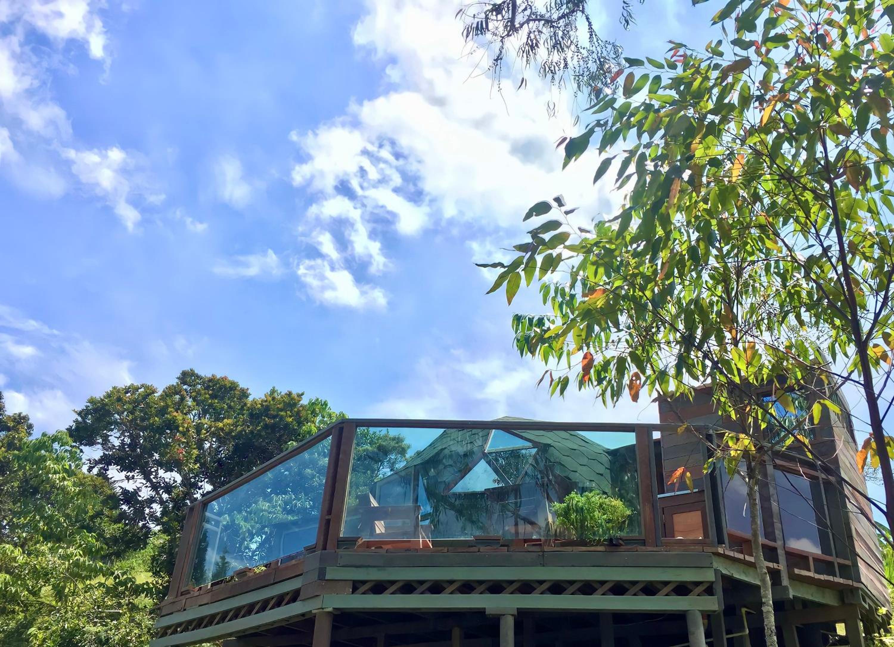 PrivaDome