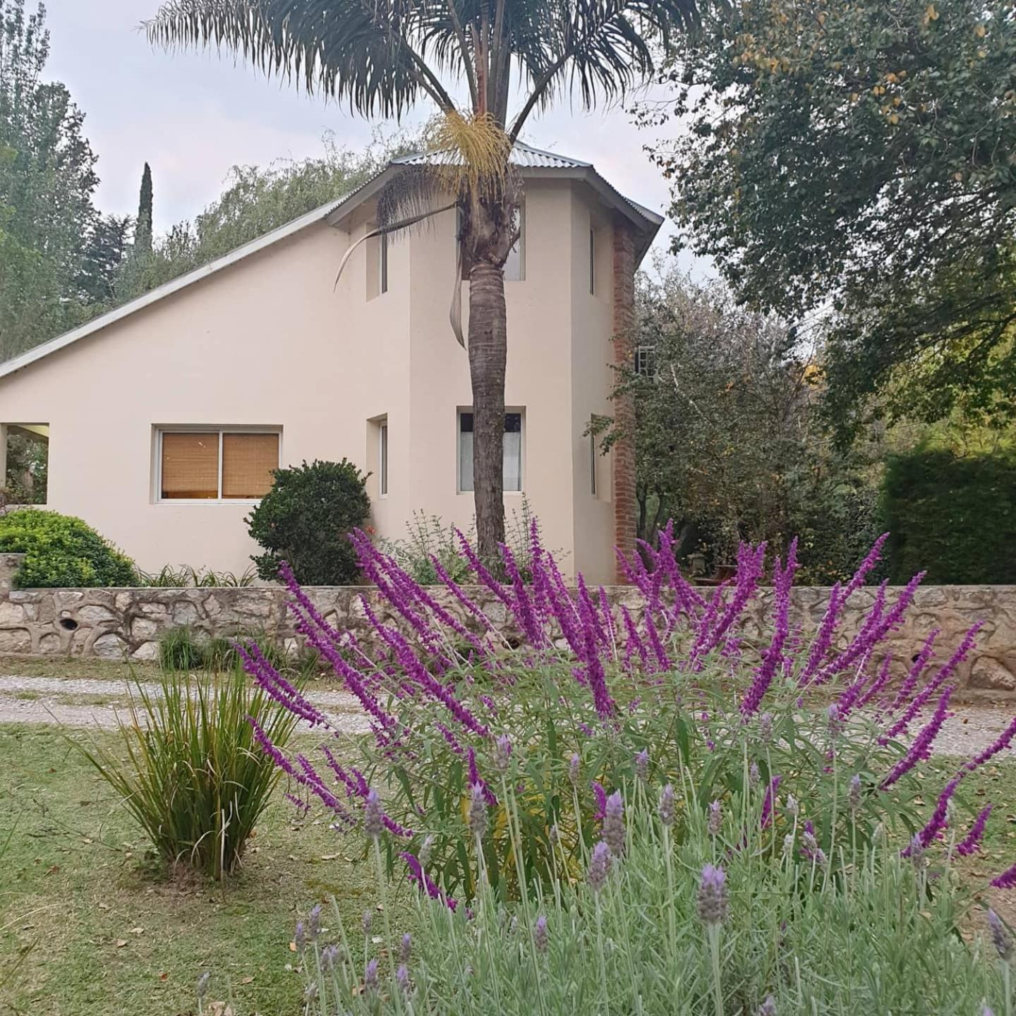 Las Terrazas Resort & Apart-Cabañas