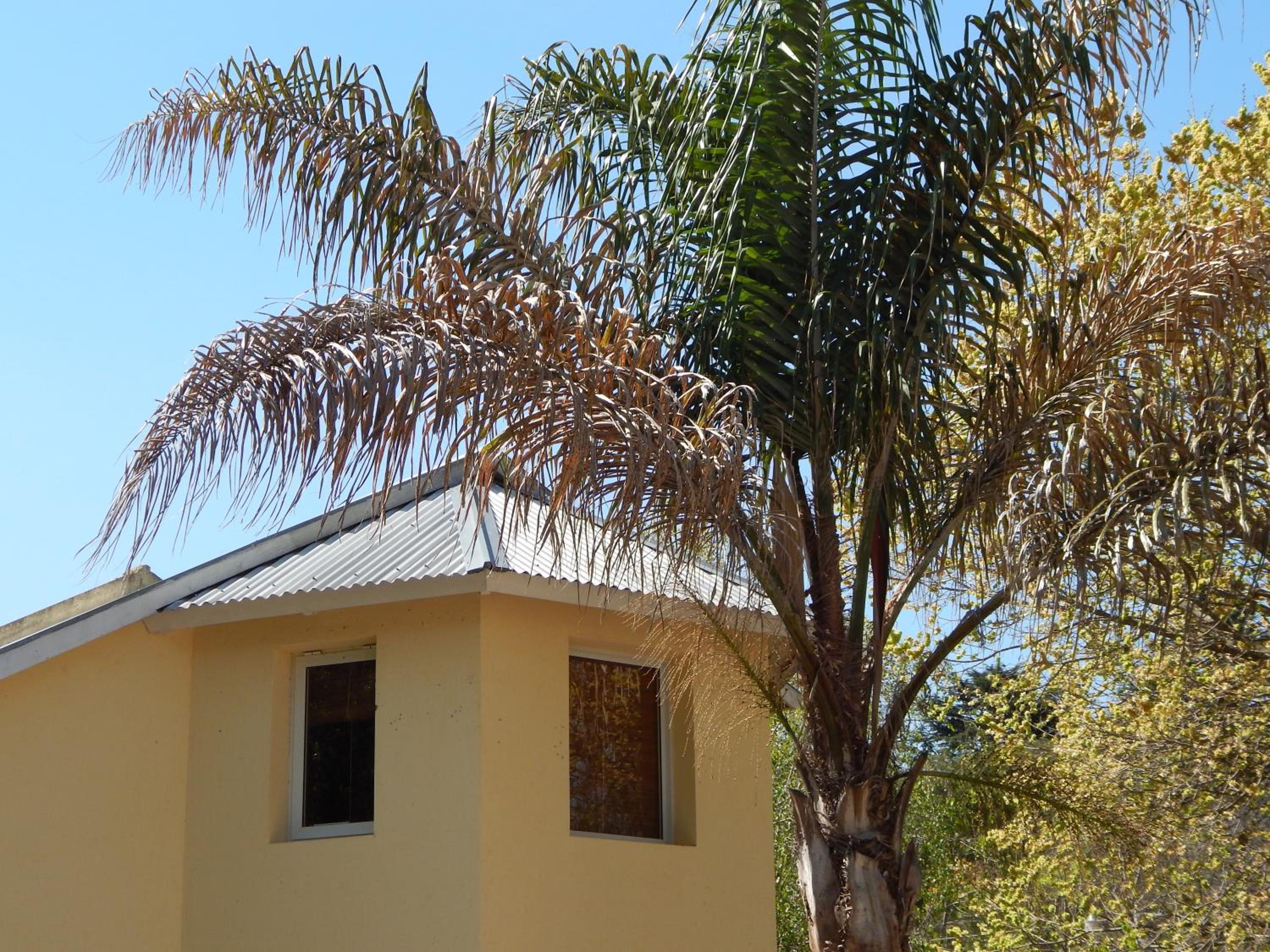Las Terrazas Resort & Apart-Cabañas