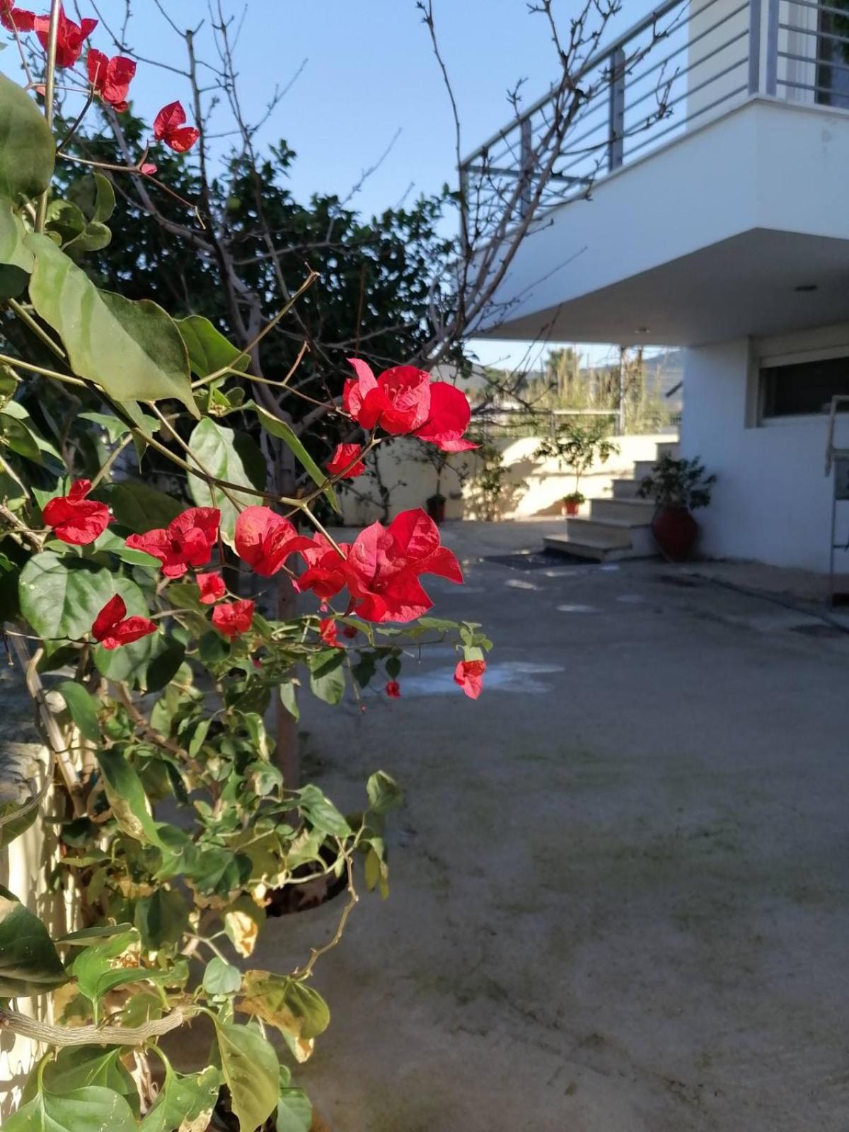 Photo 32