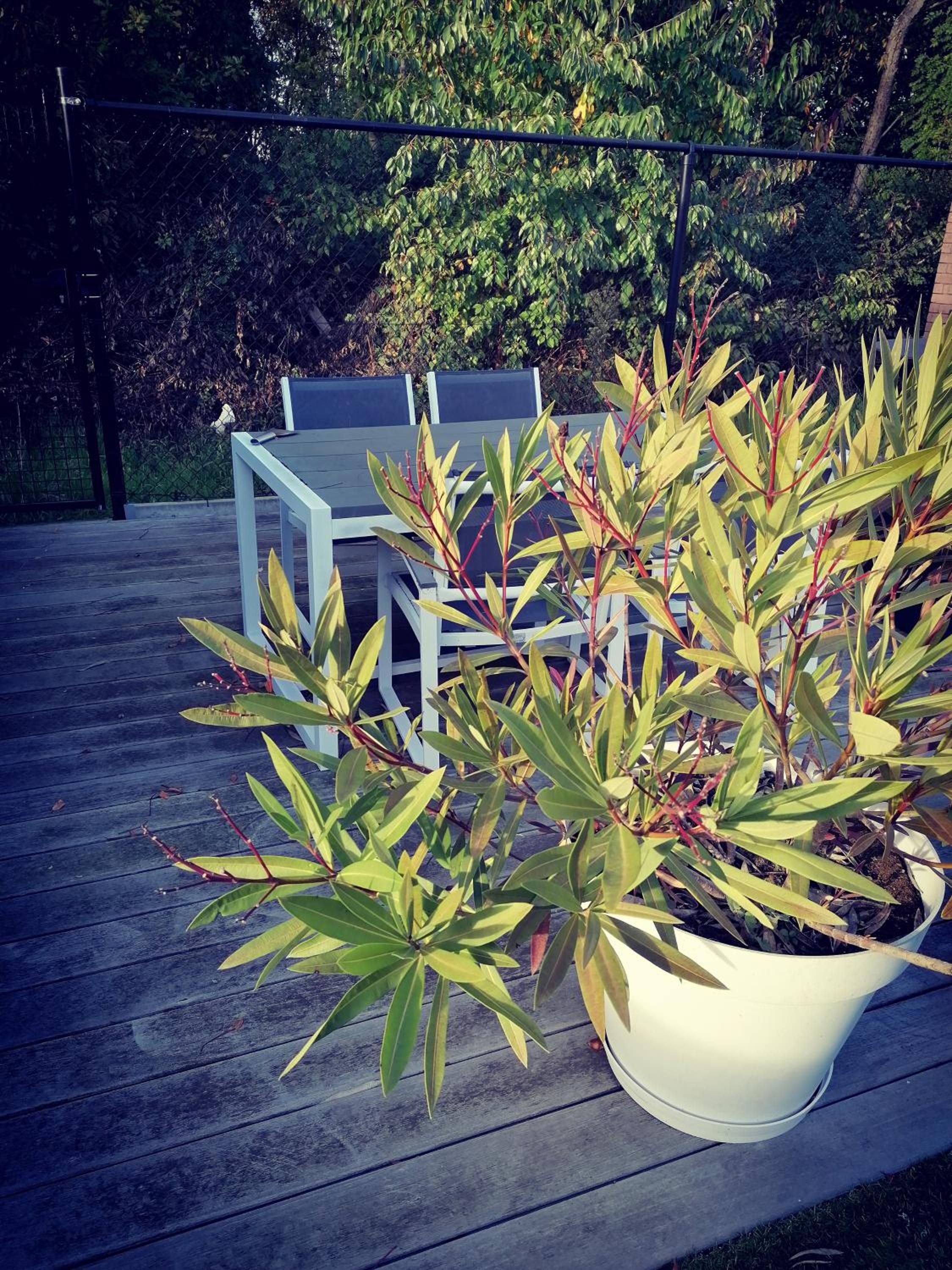 Vakantievilla met jacuzzi Limburg