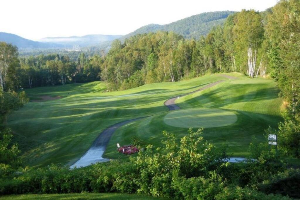 Excellent Townhome On Golf Course w/3 Bdrm 2 Bath