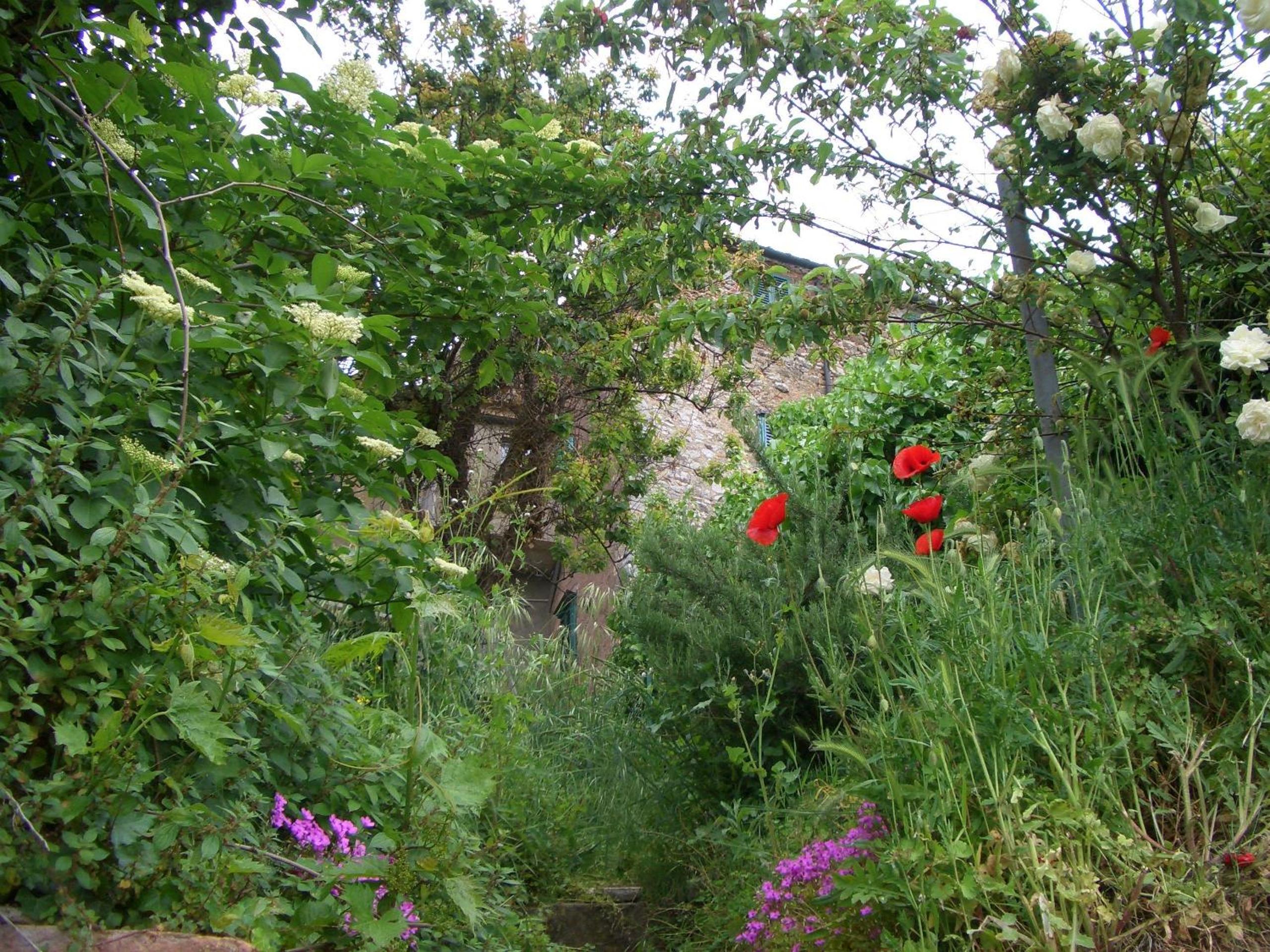Photo 40