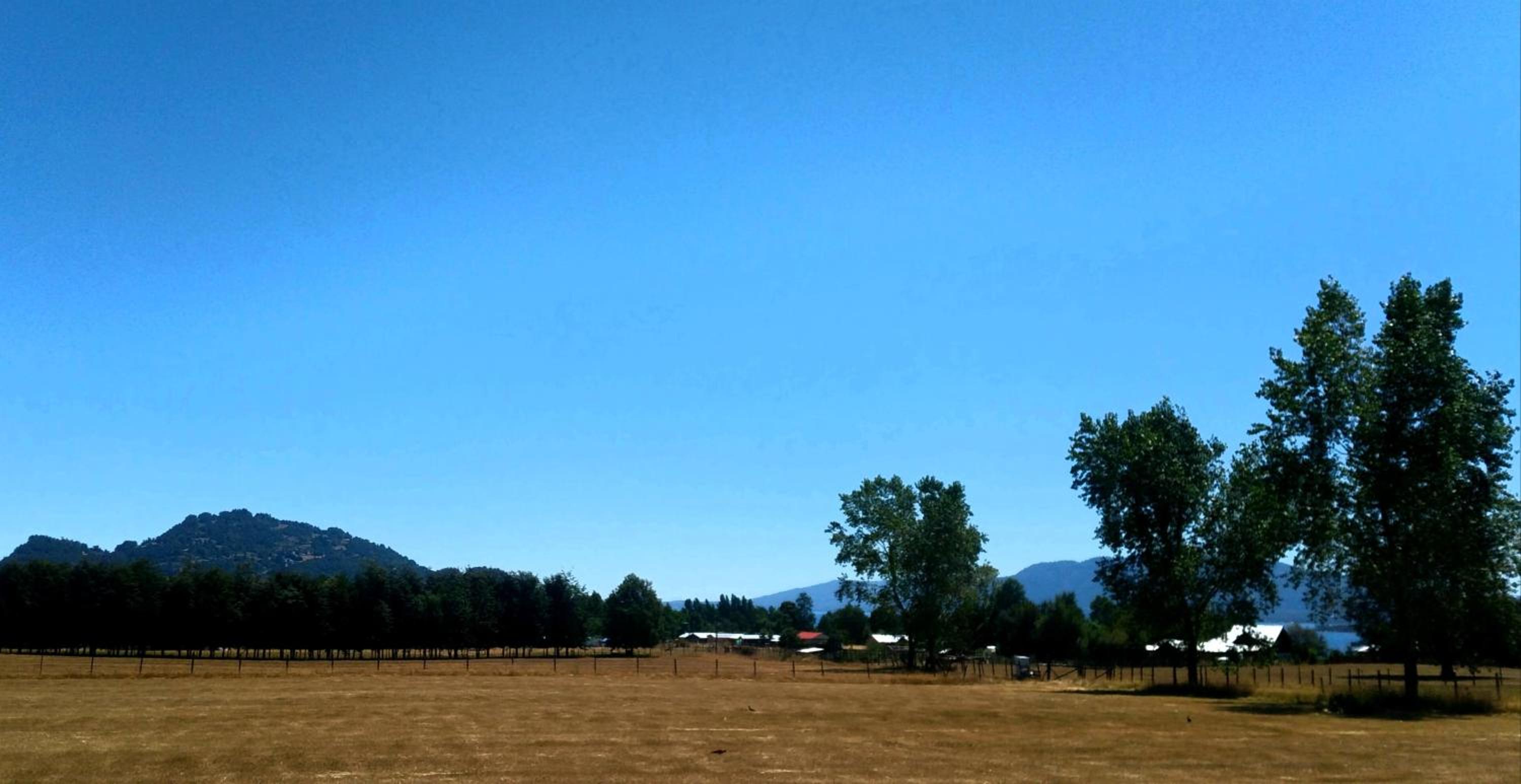 La Casita Verde