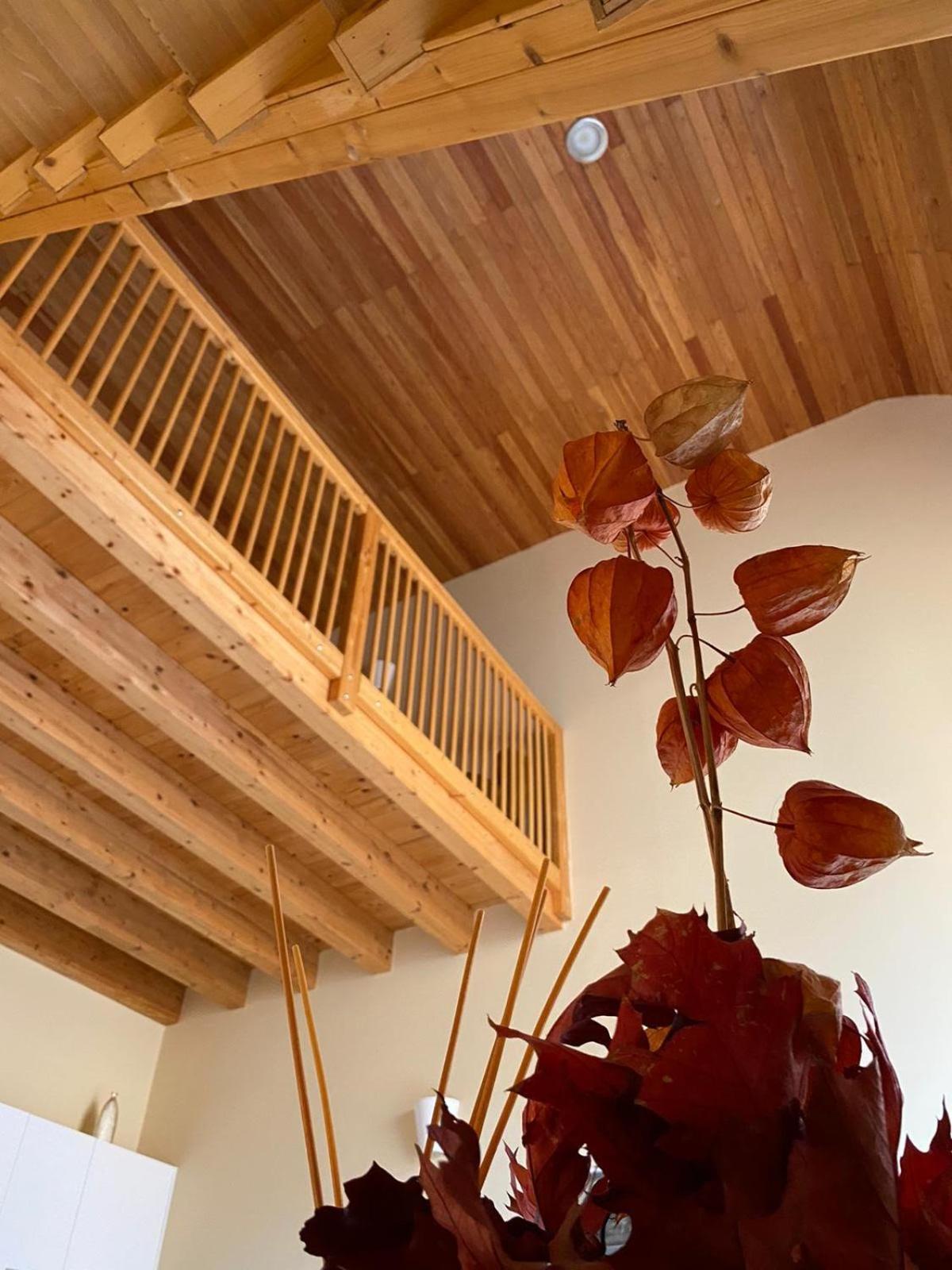 Maison Des Fleurs