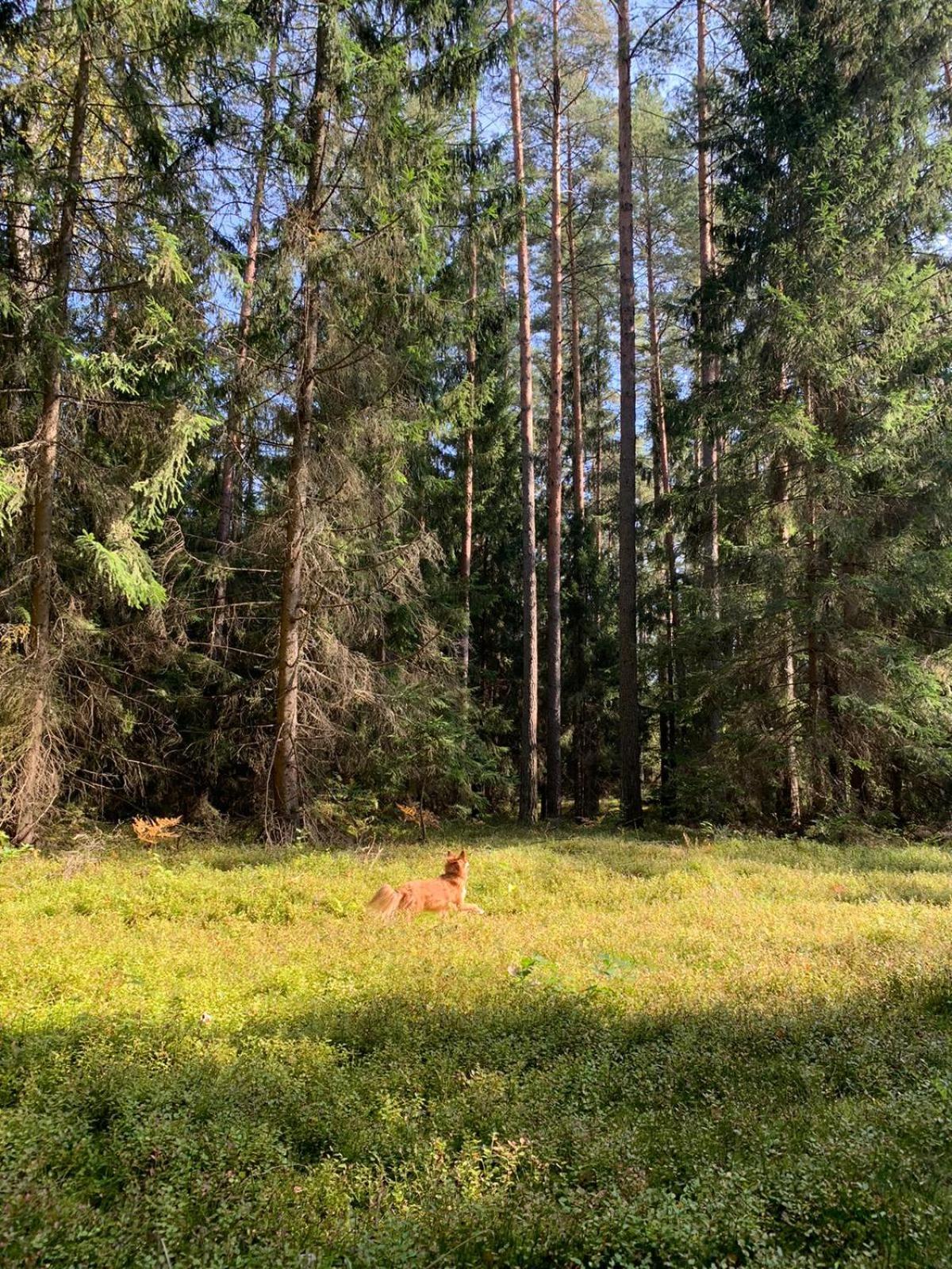 Pokoje Nadrzeczna en Augustów
