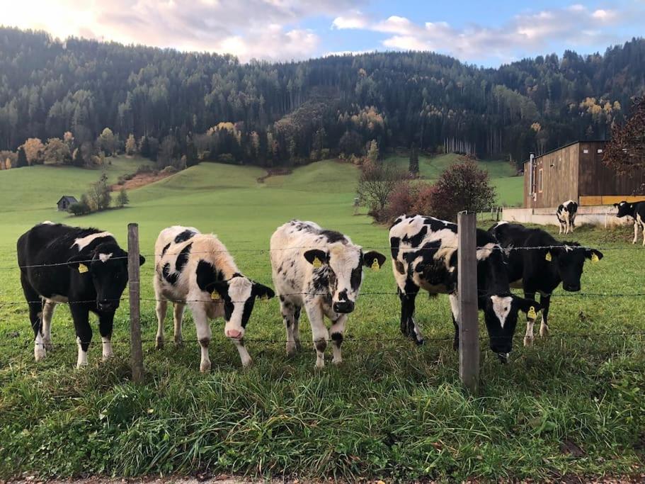MyHolzhaus - zum Wohlfühlen