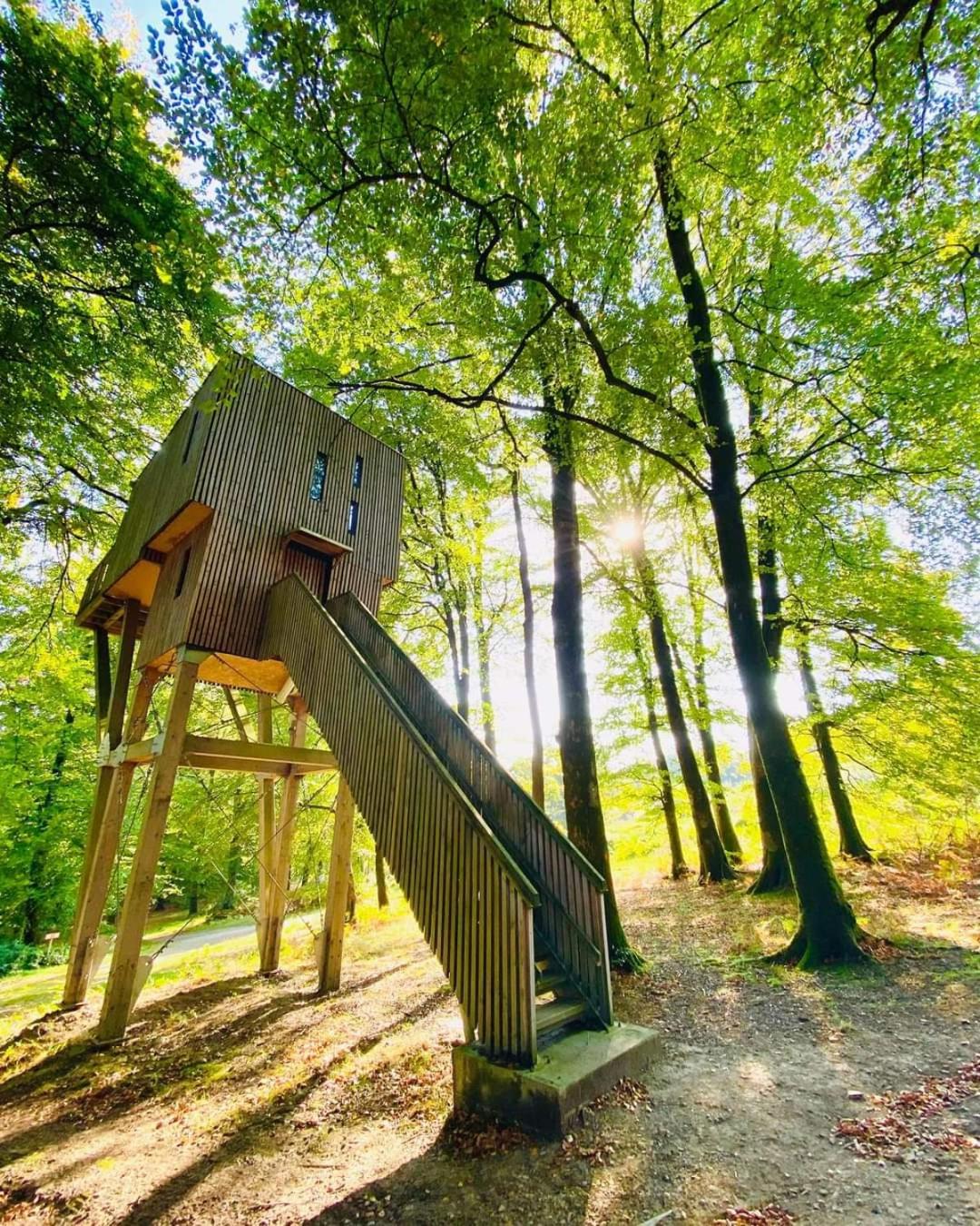 L'étape en forêt