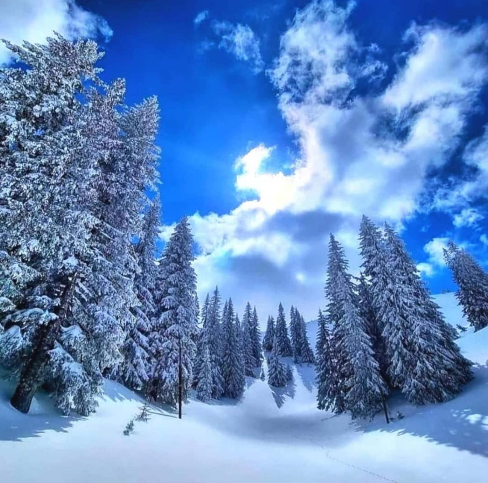 Studio Jahorina