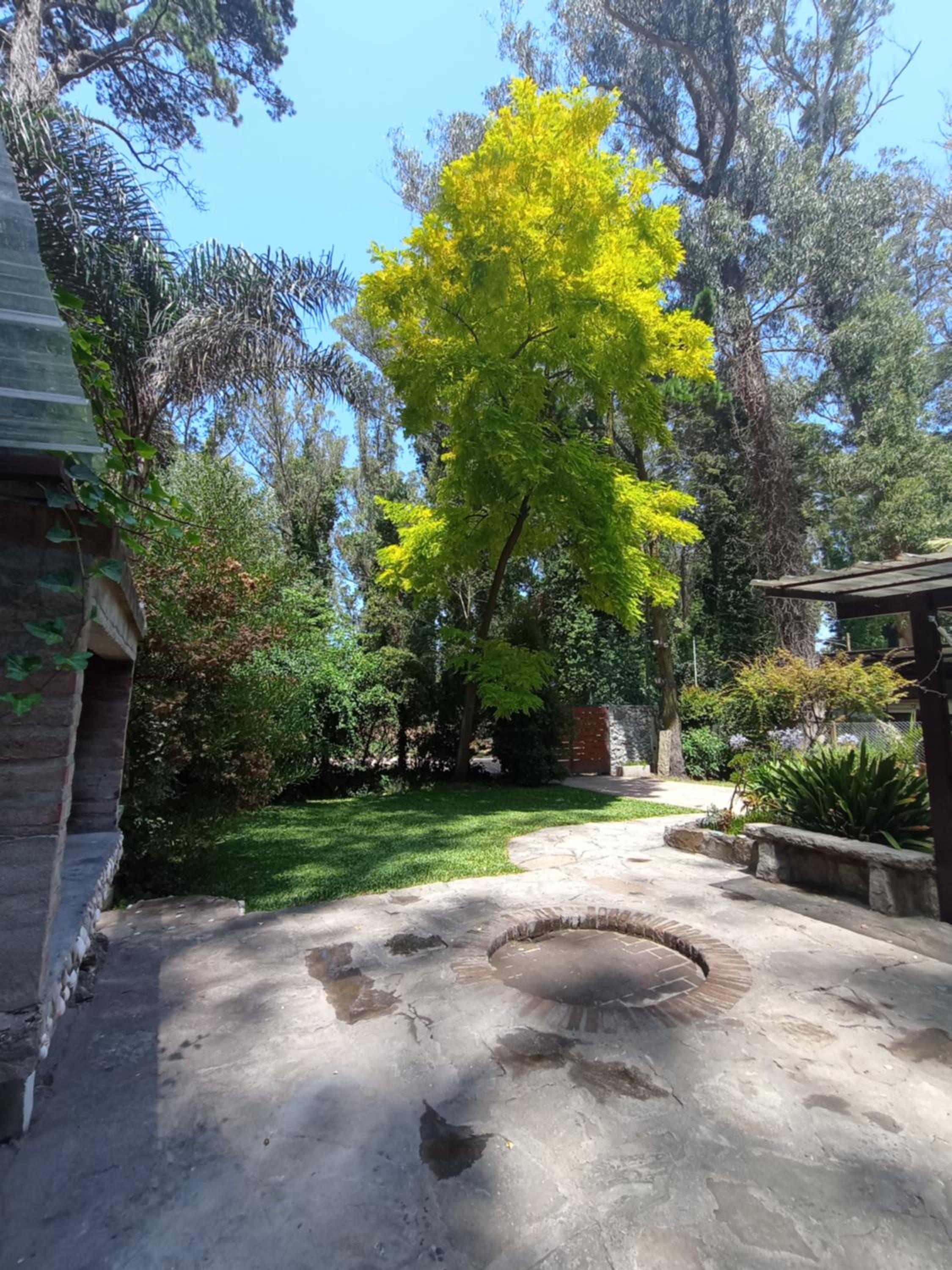 Casa Tierra de Bosque