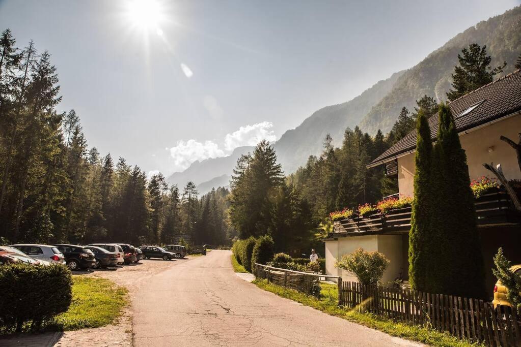 Idyllic Triglav Forest Retreat - Alps, Trails, Lakes, Falls view 4