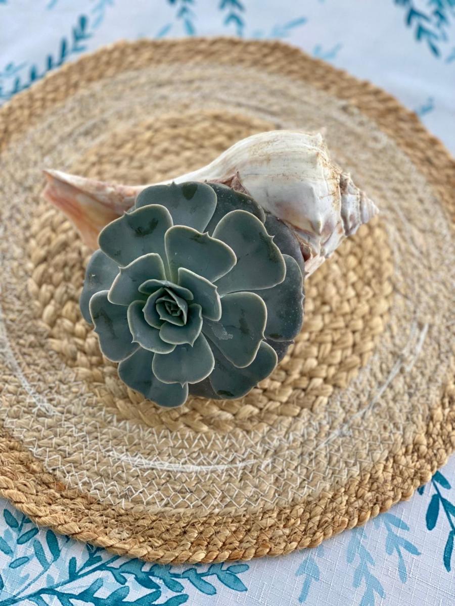 Atlantic House Bed & Breakfast