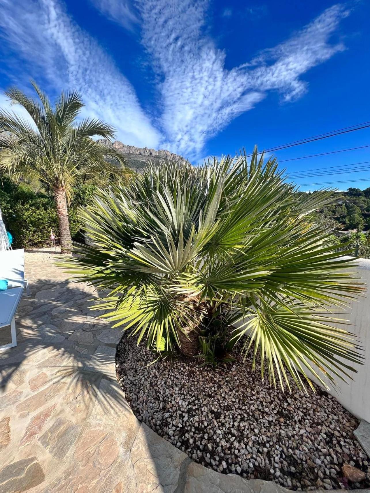 magnifique villa 6 personnes Altéa paradiso