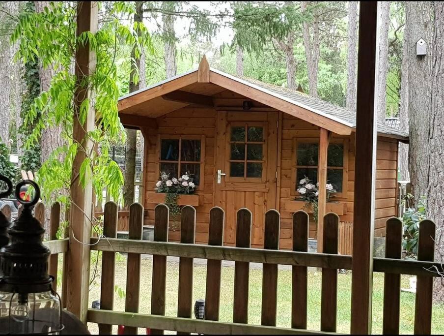 Mooi chalet met grote tuin op een 4 sterren park. view 3