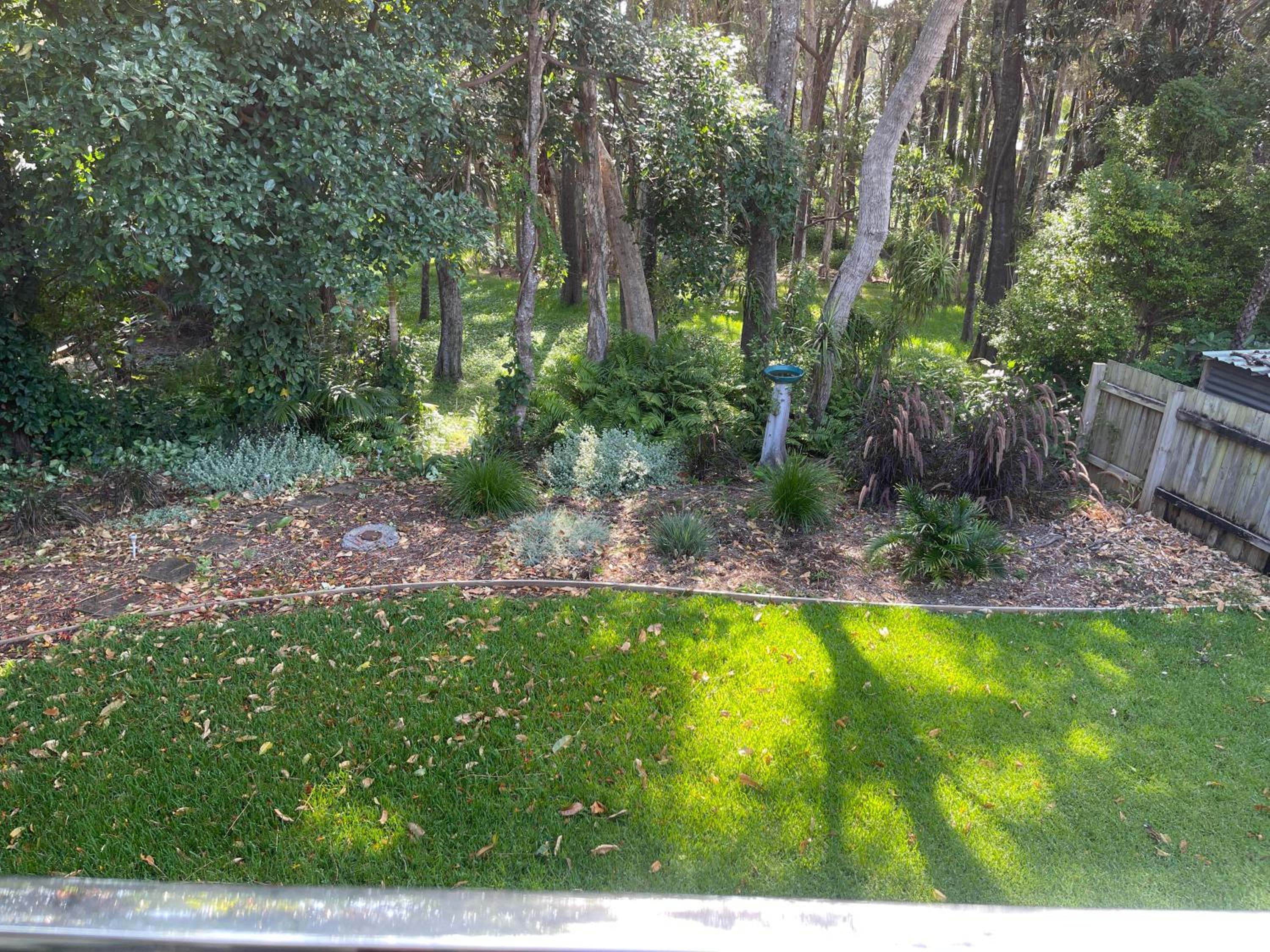 Photo 29