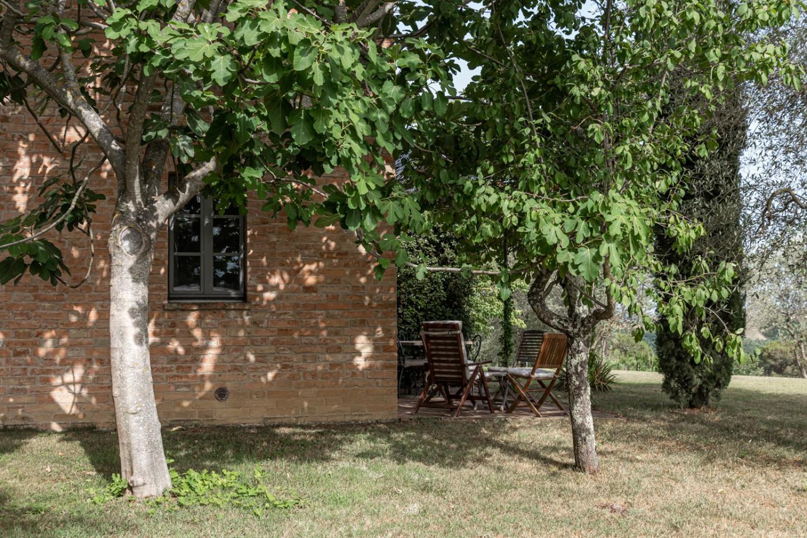 Photo 32