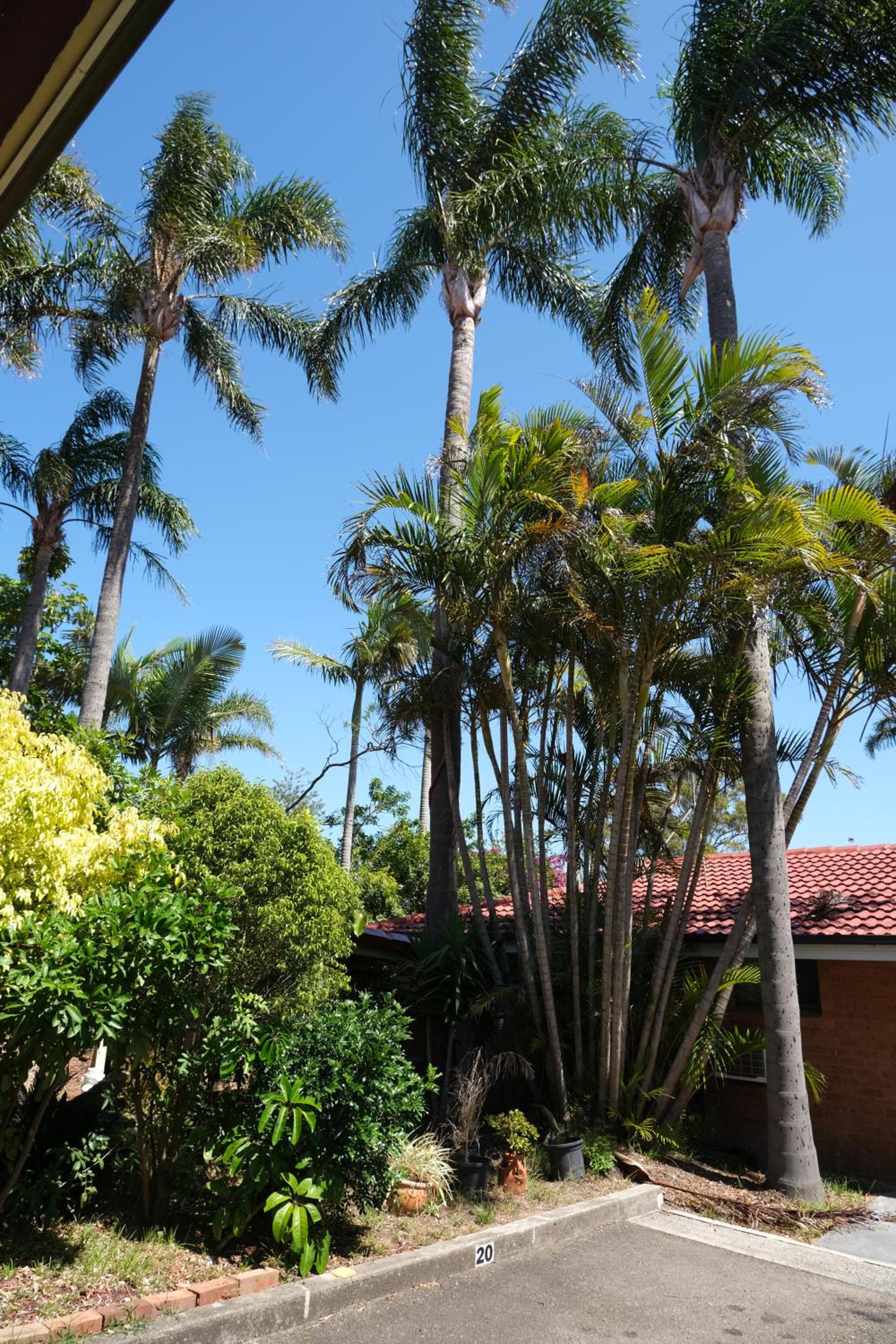 Sapphire Palms Motel