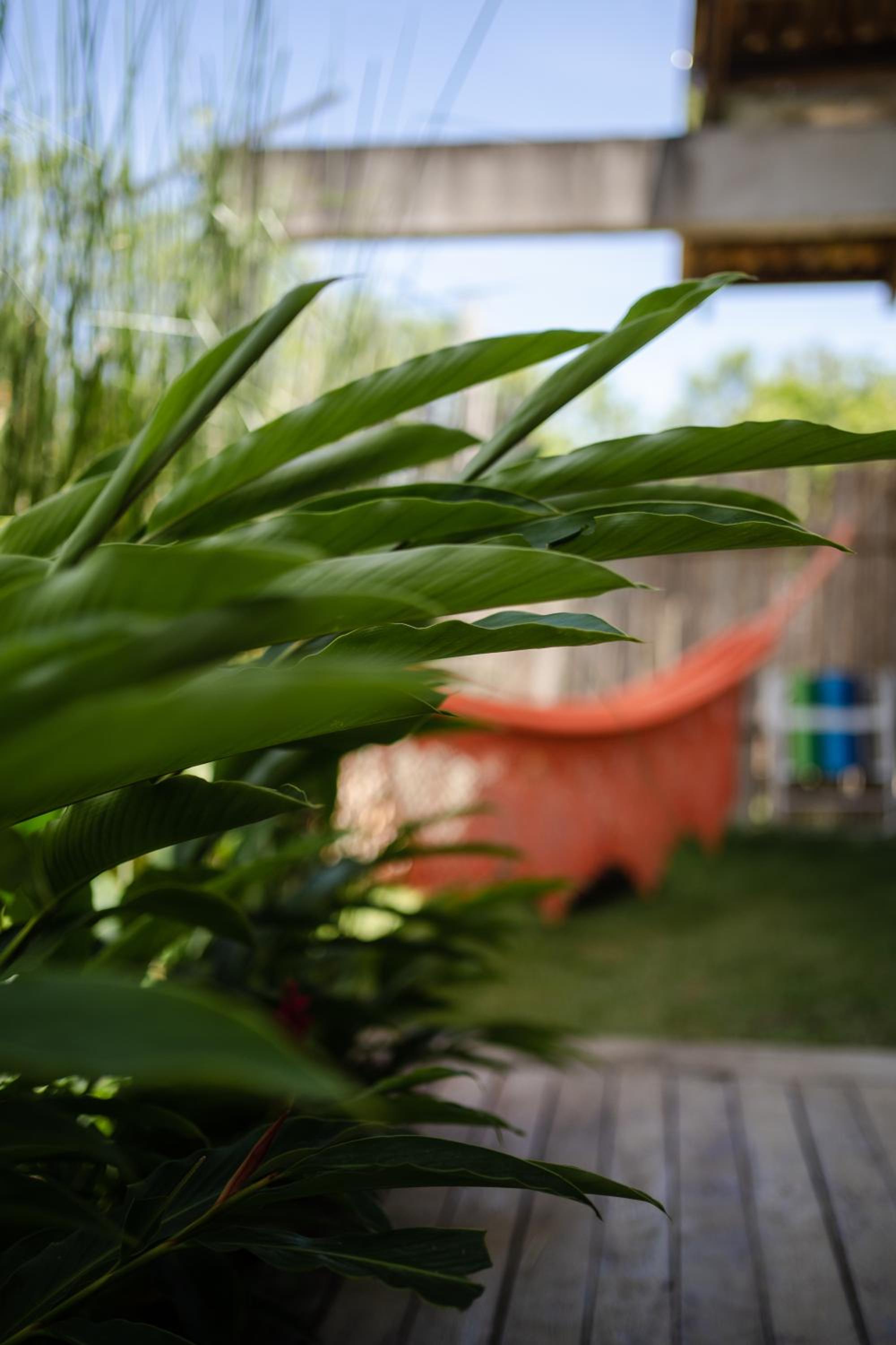 Casa Canoa - Praia de Algodões