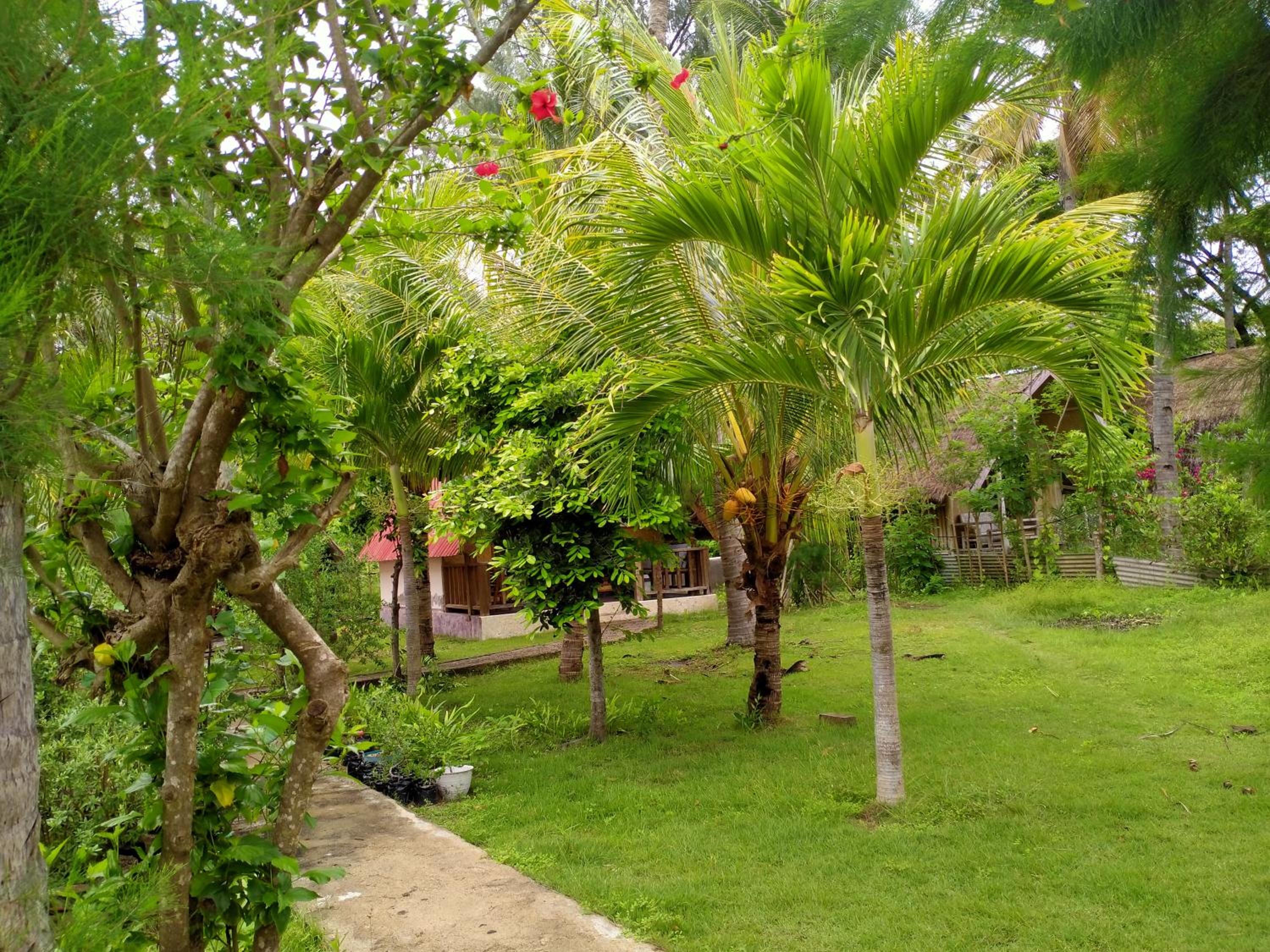 Photo 42