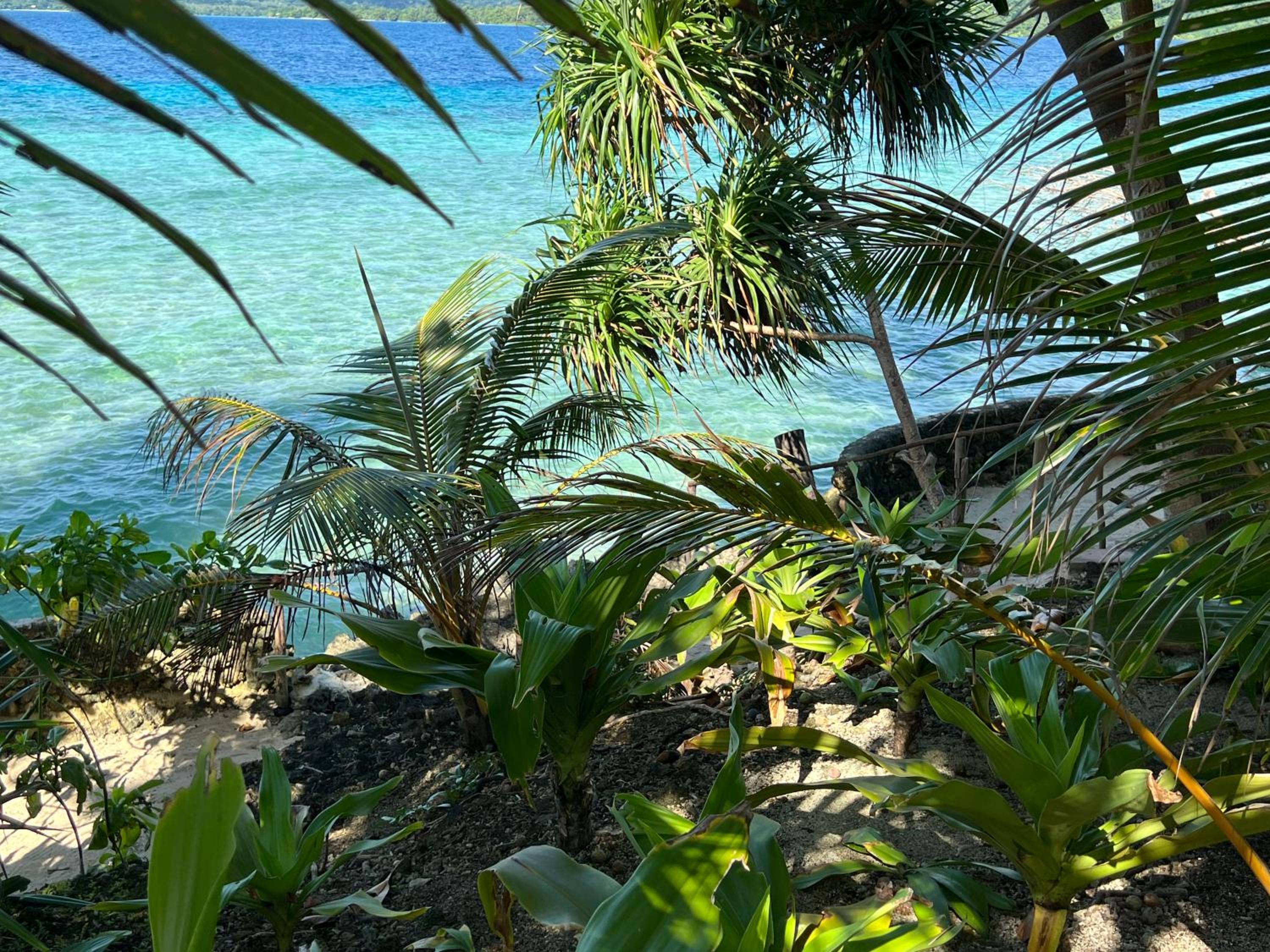 Island View Cottages