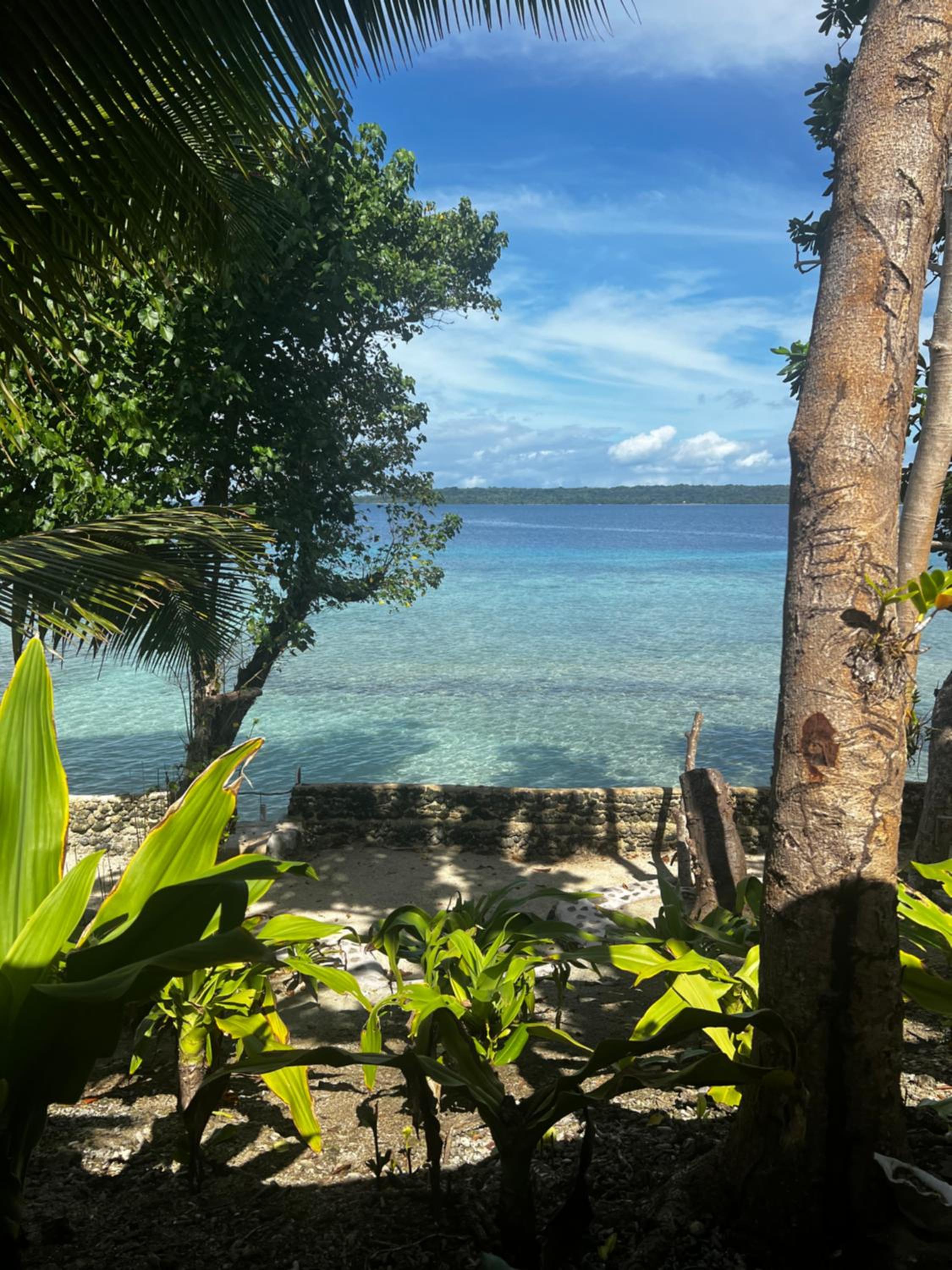 Island View Cottages