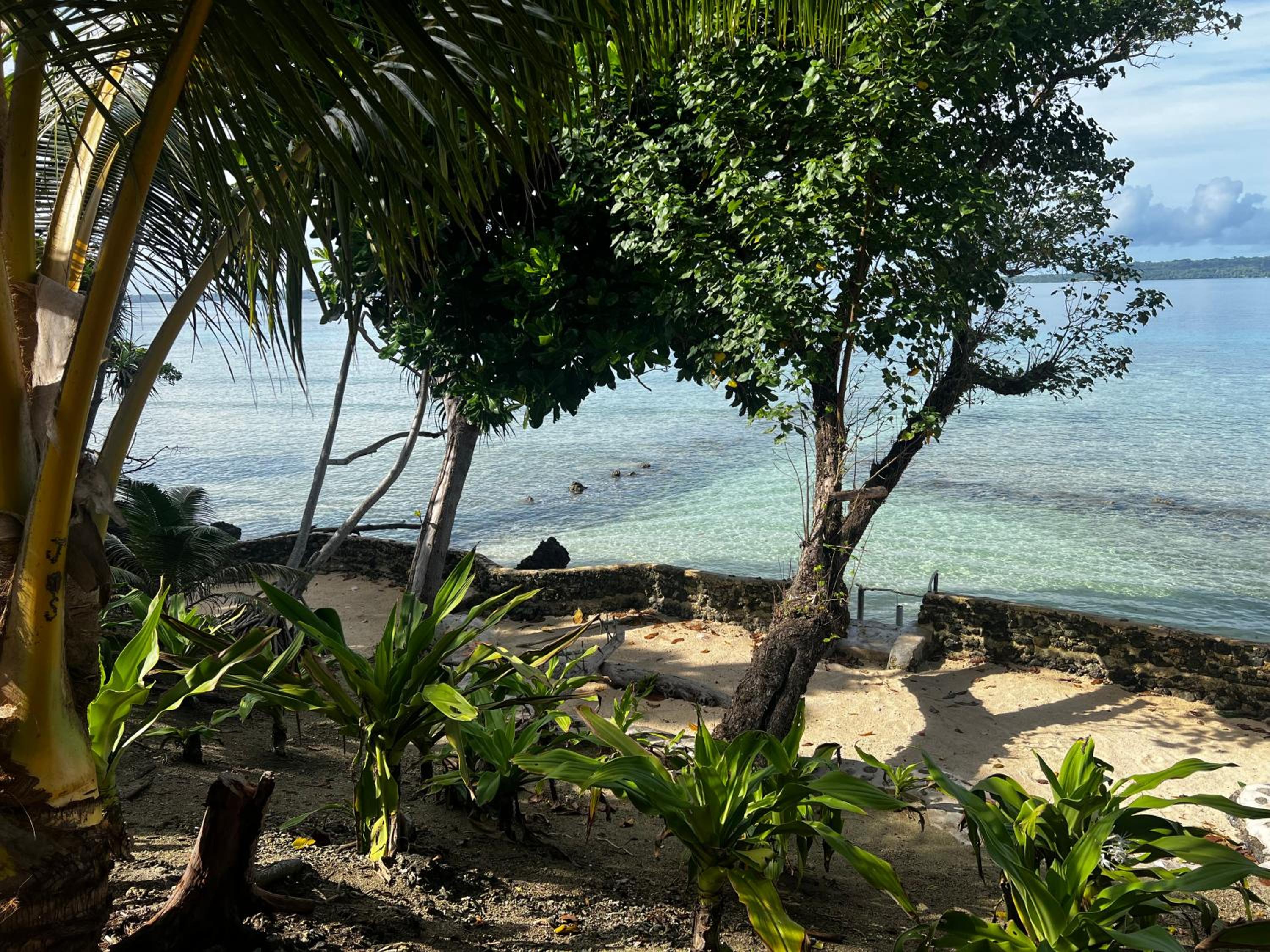 Island View Cottages