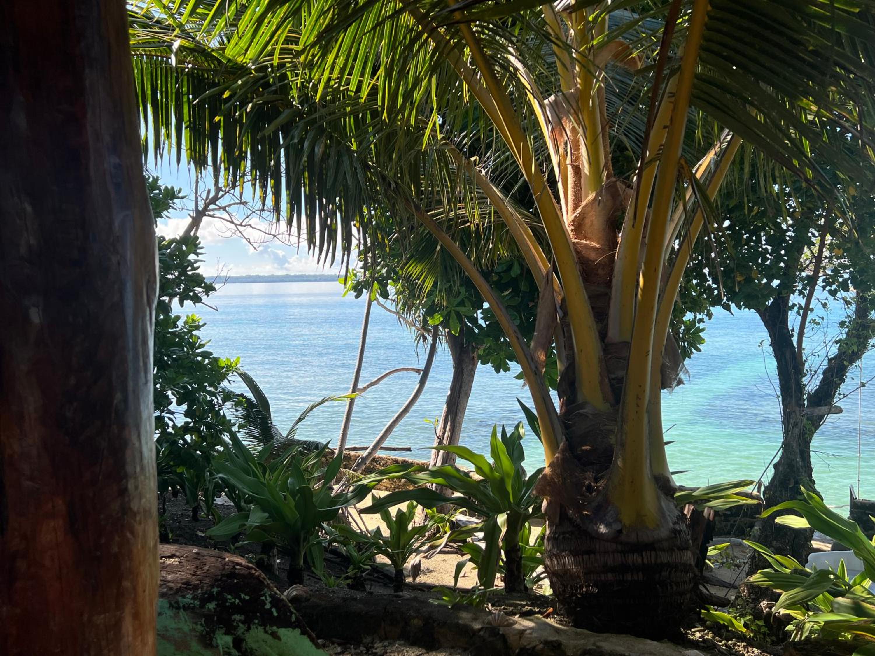 Island View Cottages