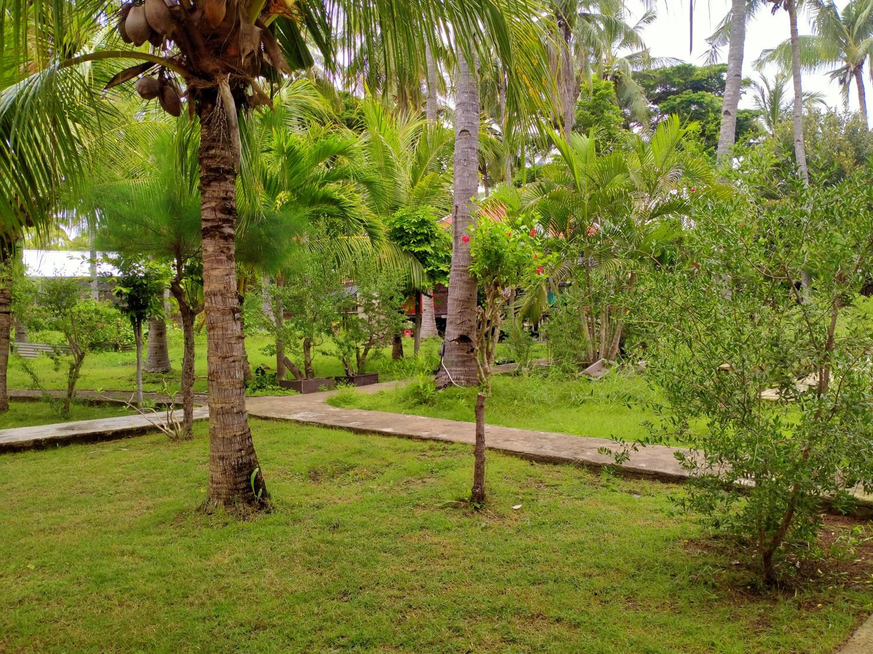 Photo 43