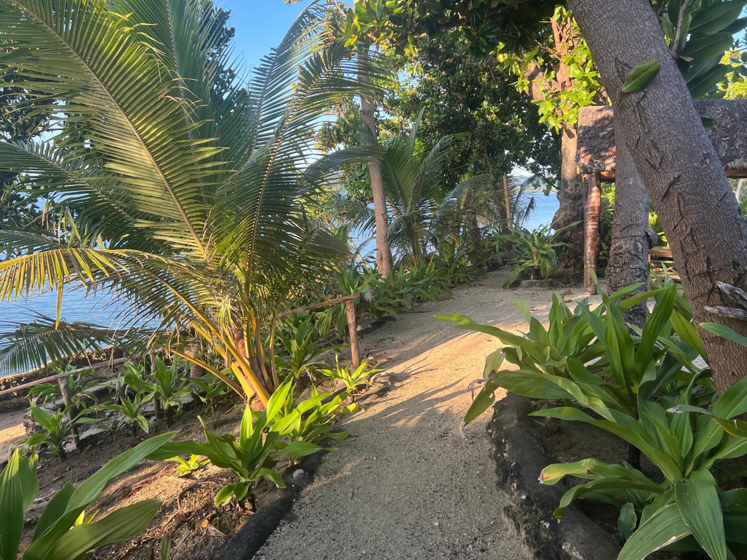 Island View Cottages
