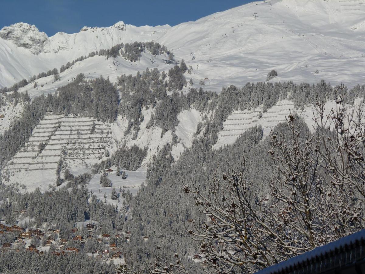 Chalet des Alpes