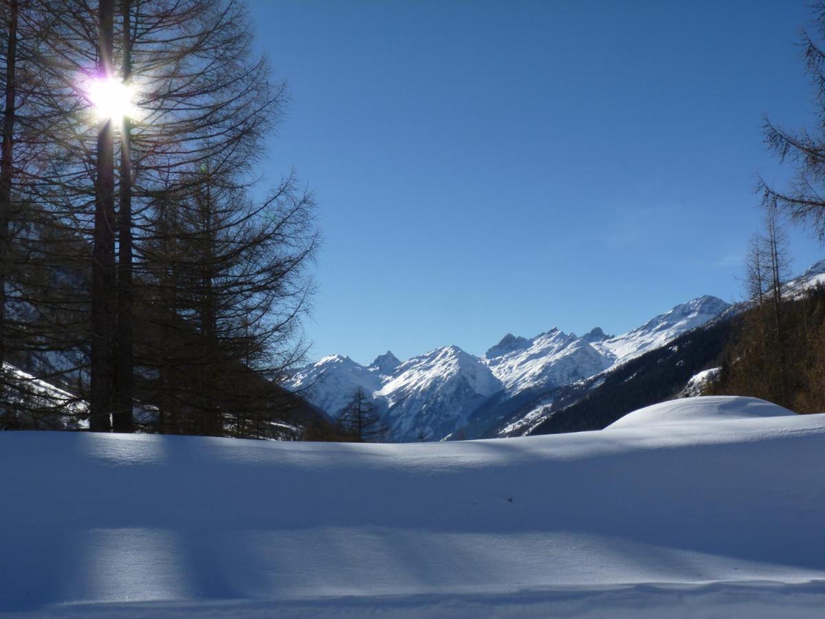 Chalet des Alpes