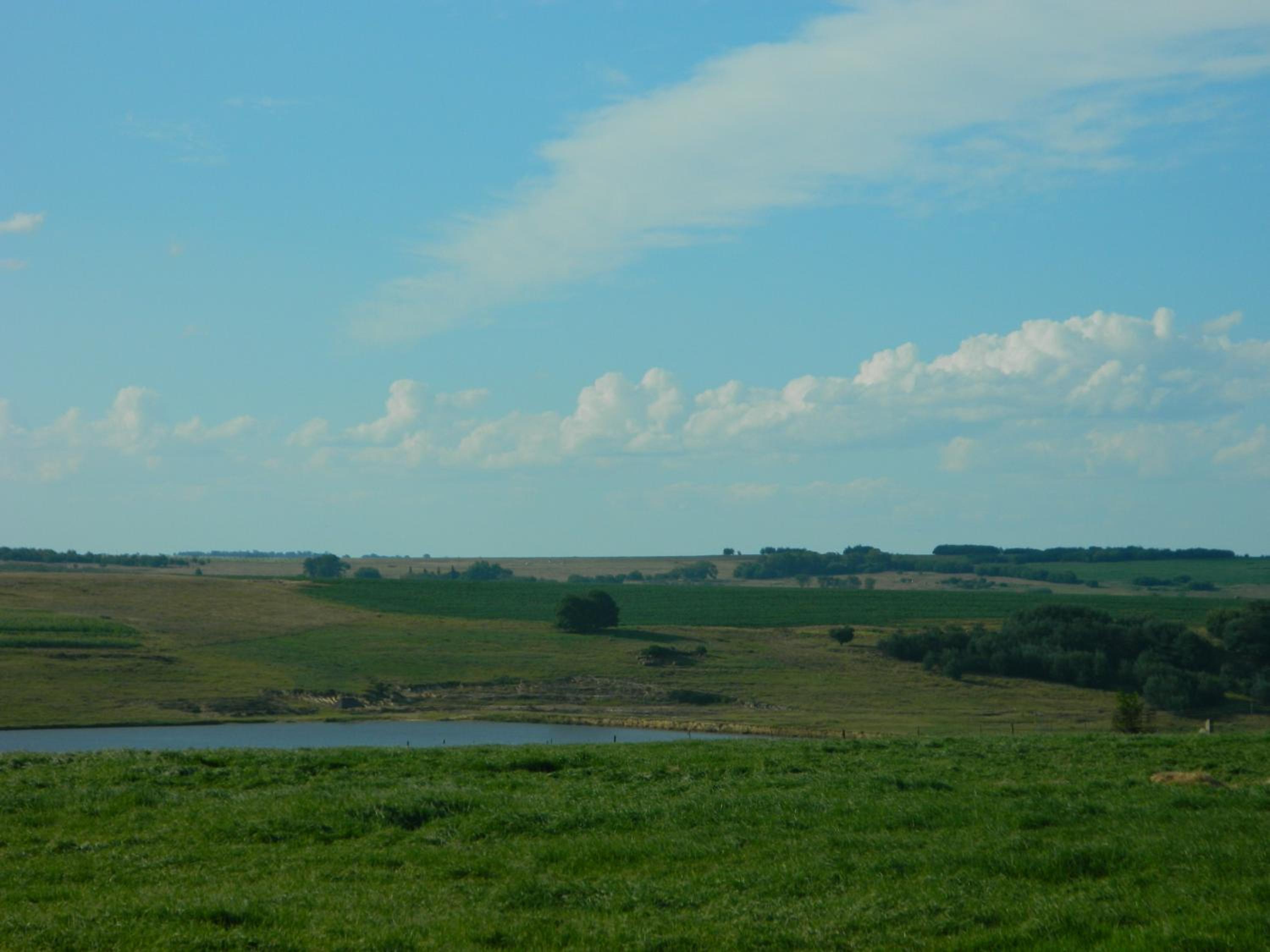 Dewdrop Farm Stay view 3