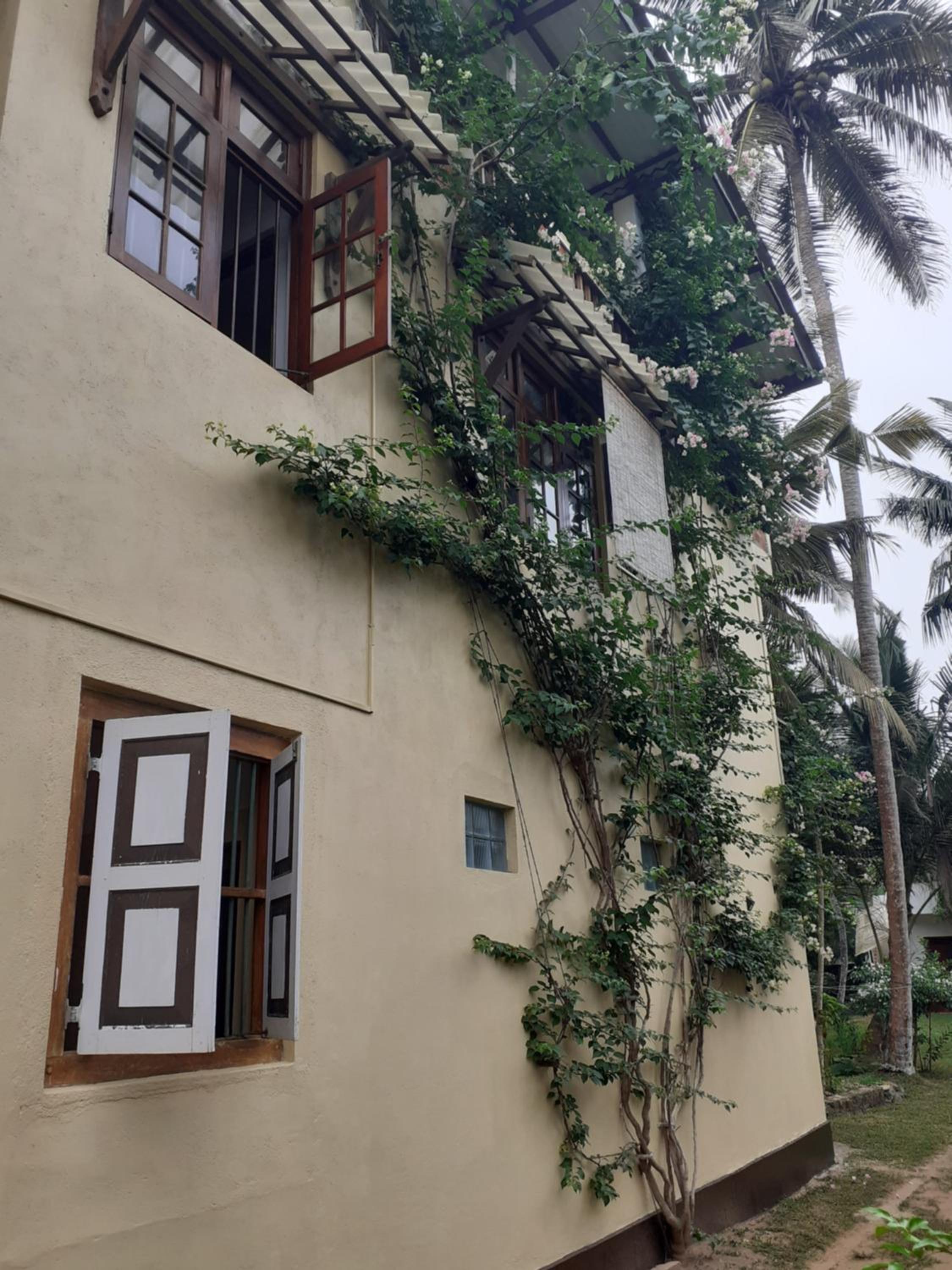 The Thusi's view 5