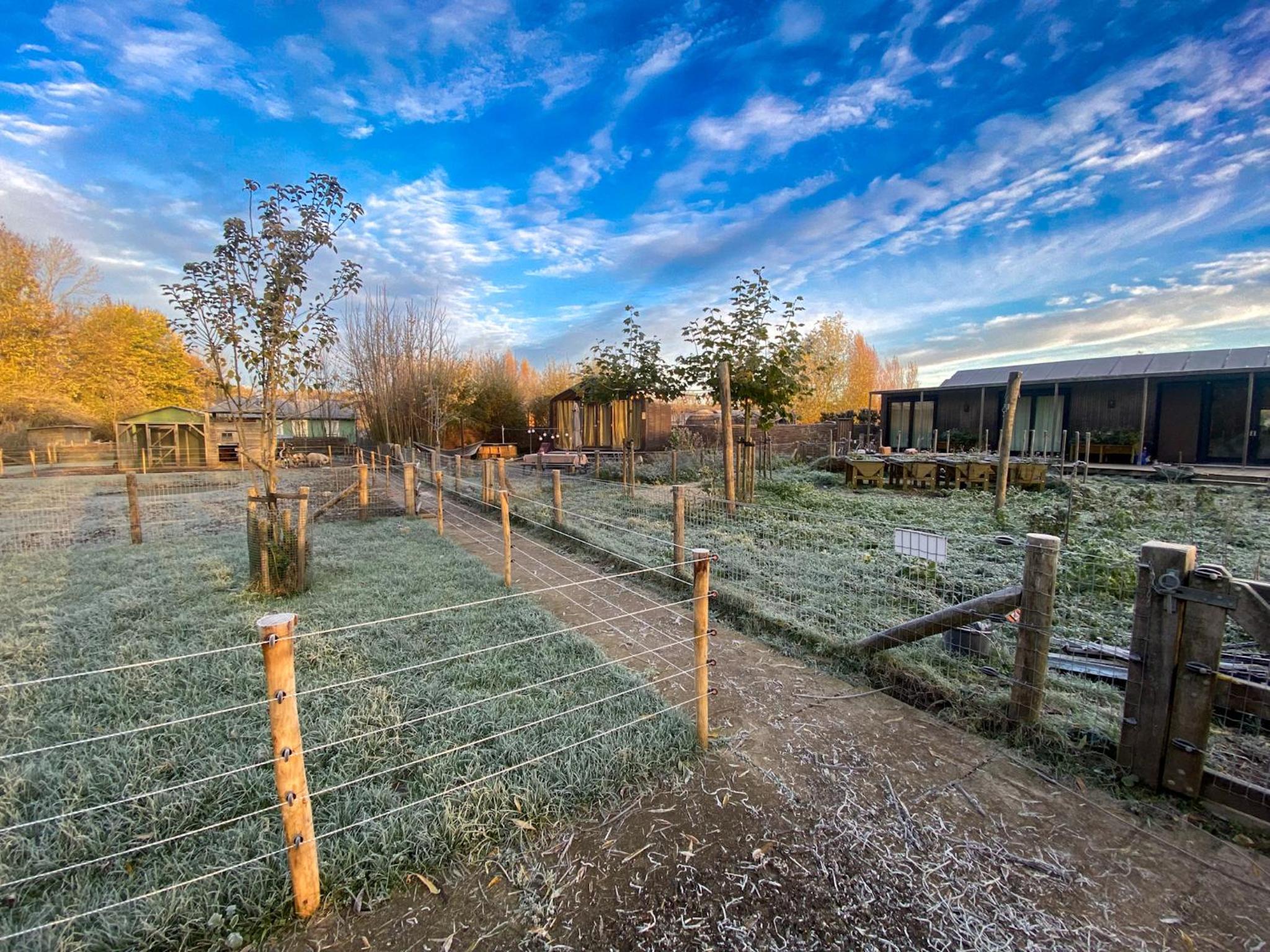 Bed & Wellness Pigs and Pillows with private hottub and sauna and tandembike rental included in price near Amsterdam