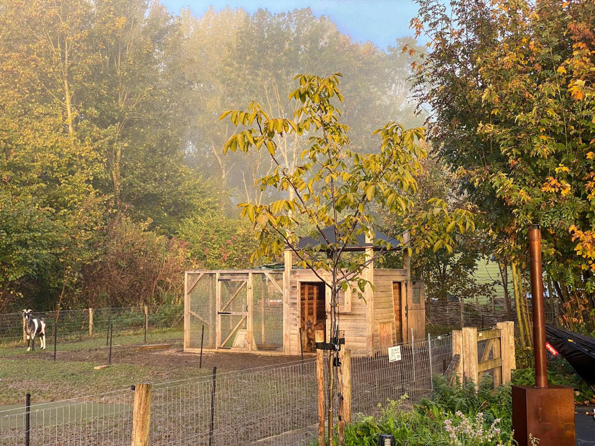 Bed & Wellness Pigs and Pillows with private hottub and sauna and tandembike rental included in price near Amsterdam